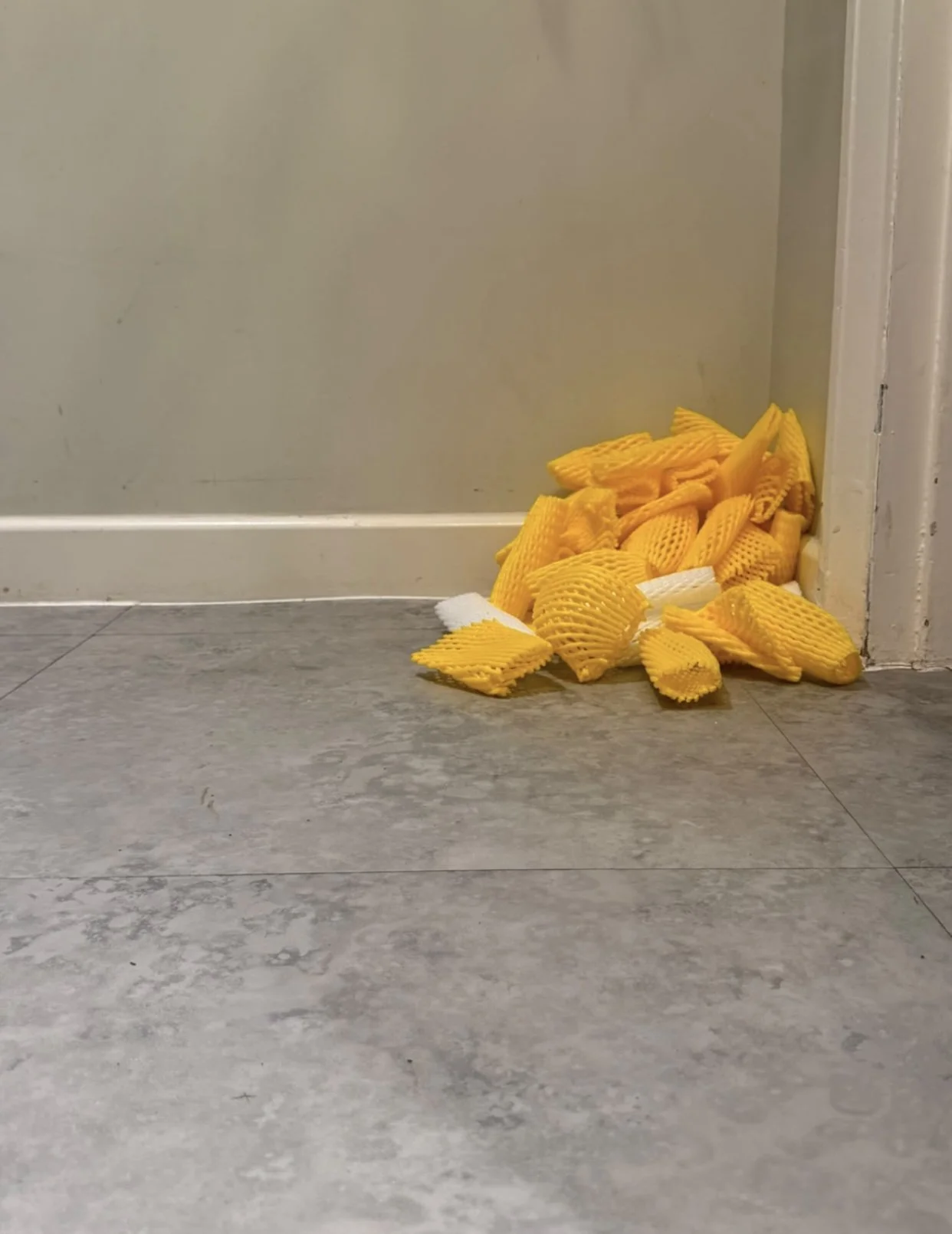 How Do You Move a Mango?