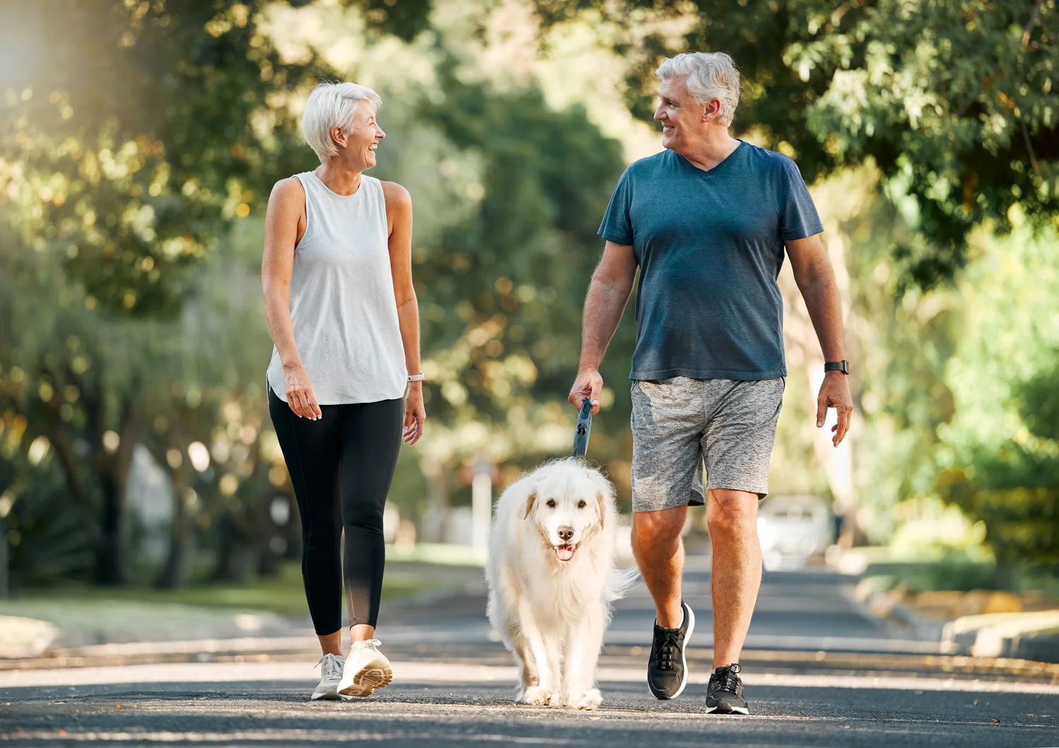 An older couple walking their dog on a sunny park trail, and enjoying good health.