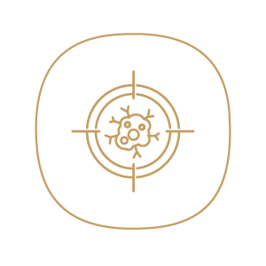 General Practice - Skin Cancer Management