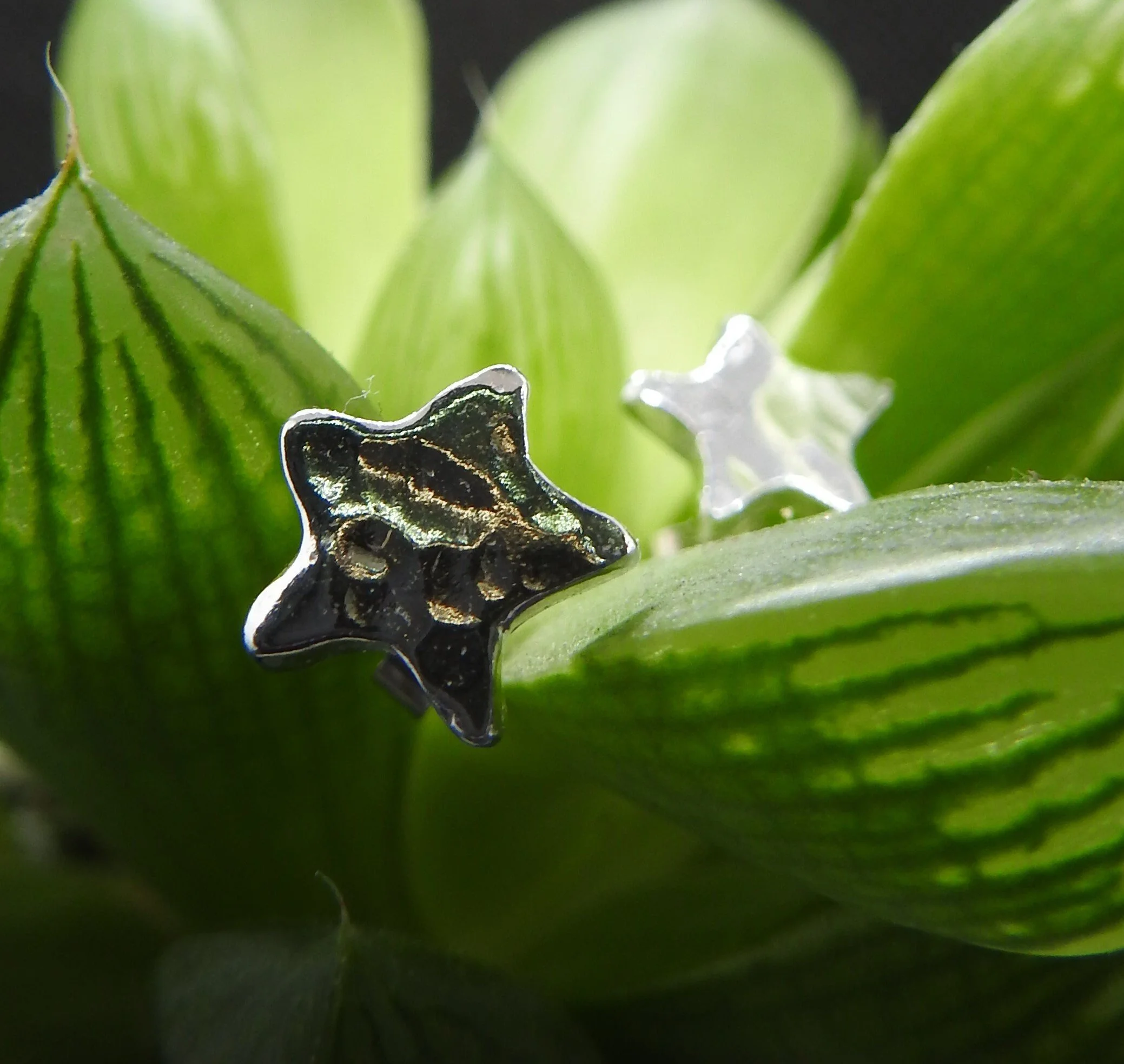 Seren bach – little star earrings