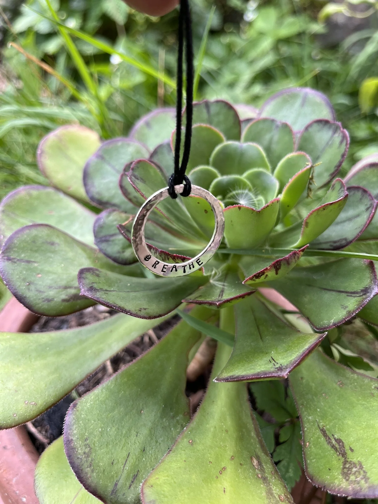 A succulent plant with green leaves edged in reddish-purple, with a silver ring pendant hanging from black string that reads 'BREATHE'. The background is green foliage.