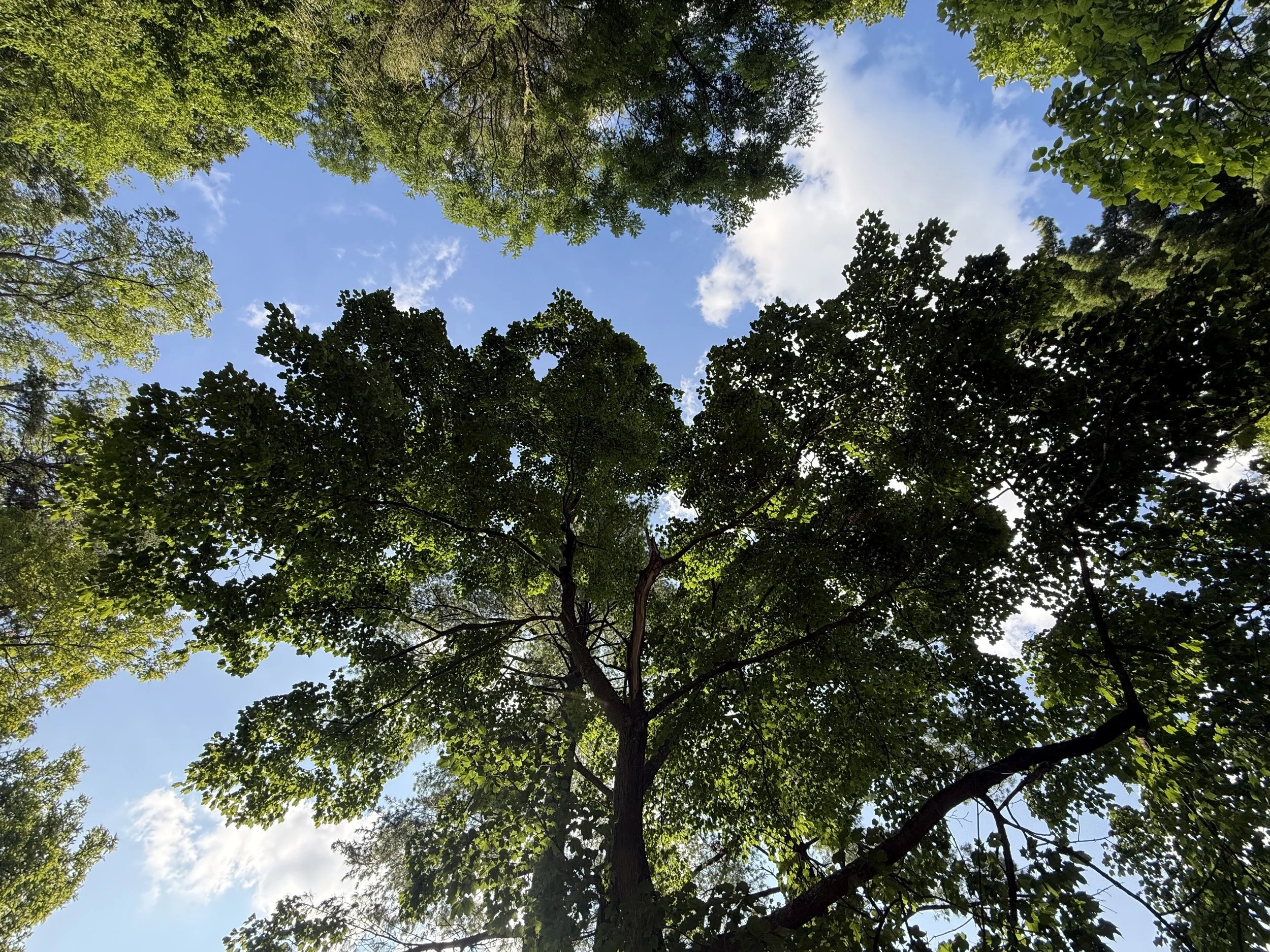 IMG_6179.jpg