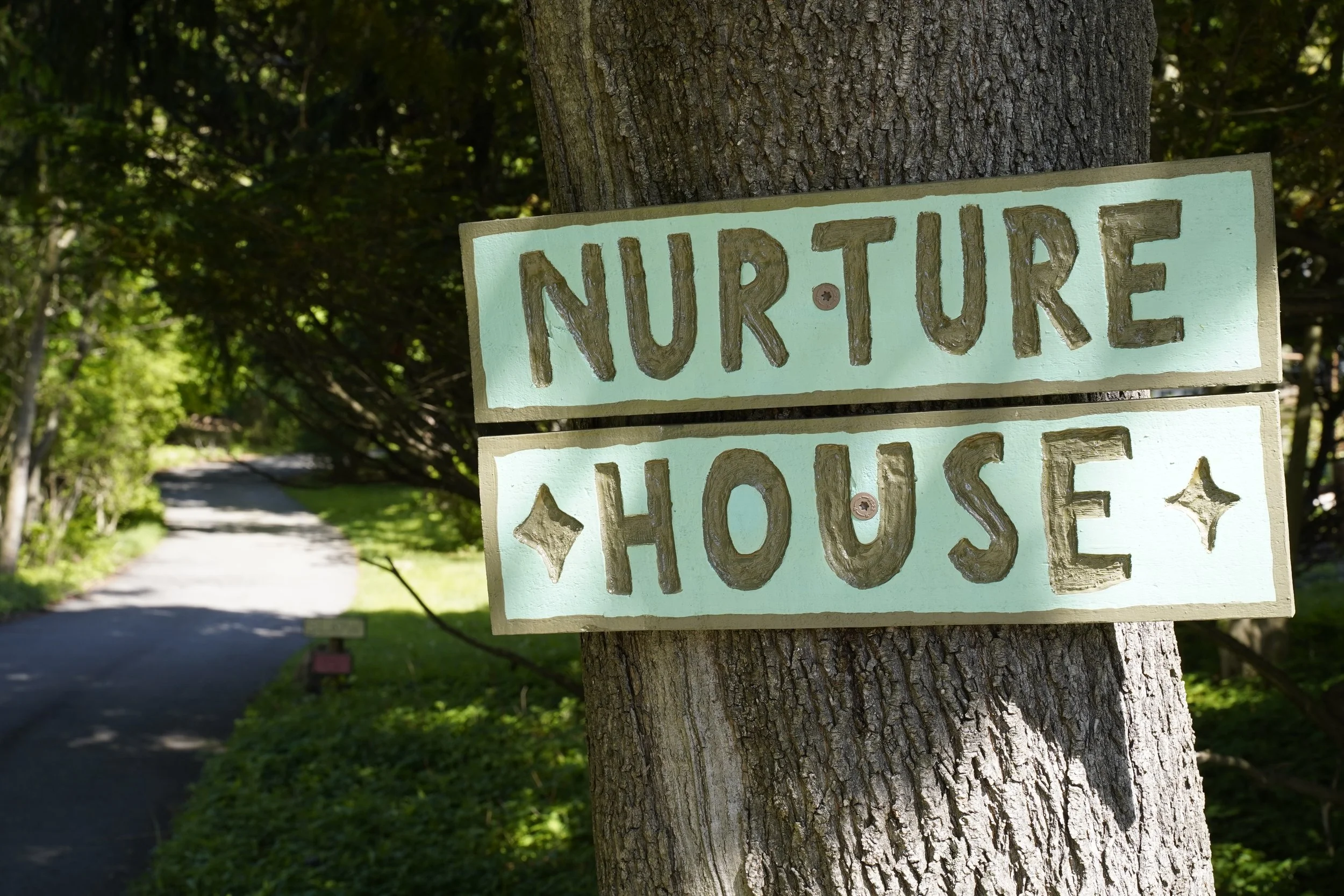 A tree with a handmade sign that reads 'NATURE' nailed to the trunk, with a background of a winding path and lush green trees and foliage.