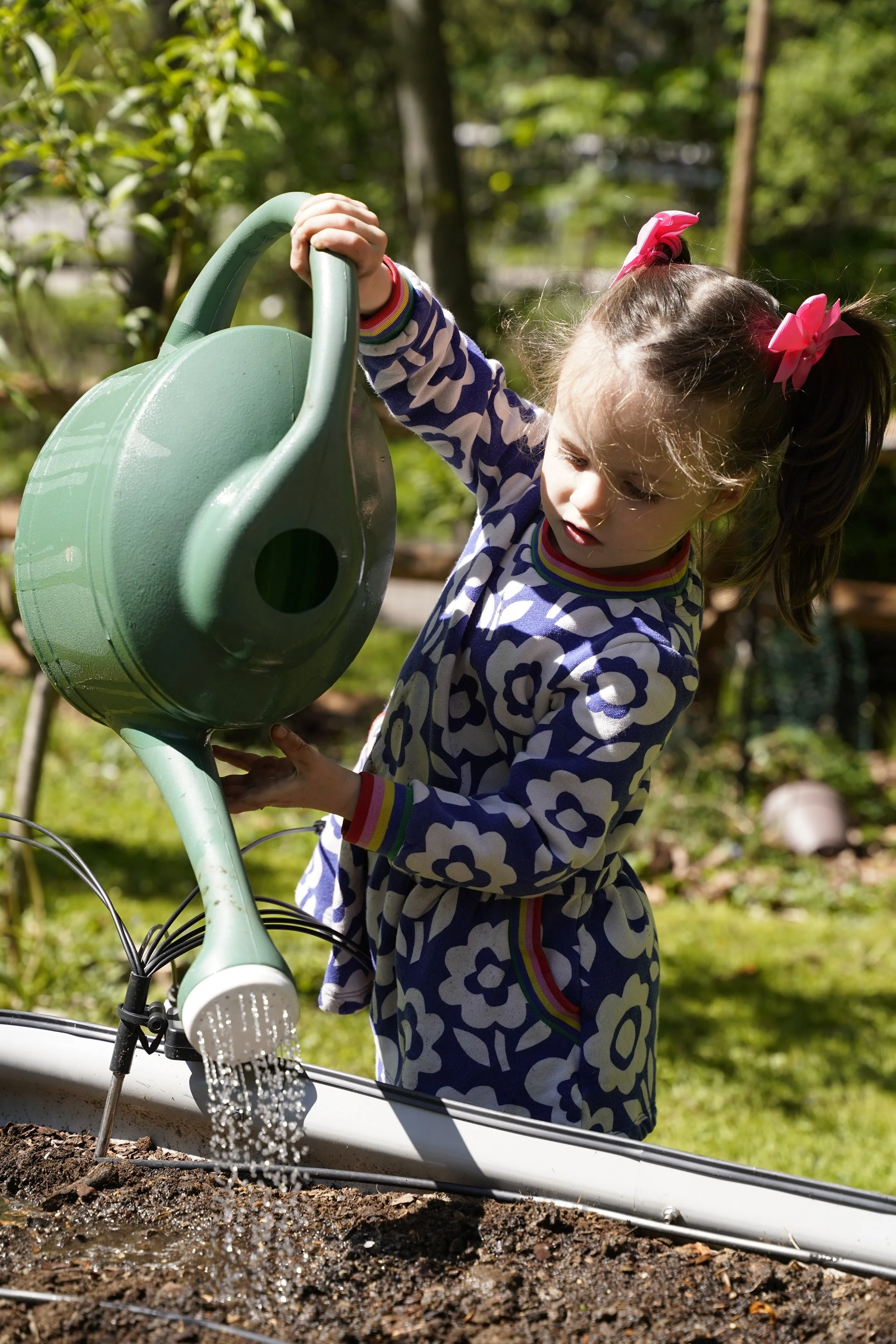 A young girl in a blue and white floral dress with pink bows in her hair waters a garden using a large green watering can, standing outdoors with trees and greenery in the background.