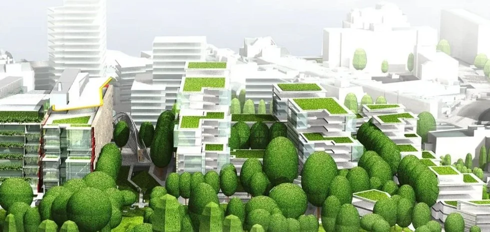 Harrow MJP Architects