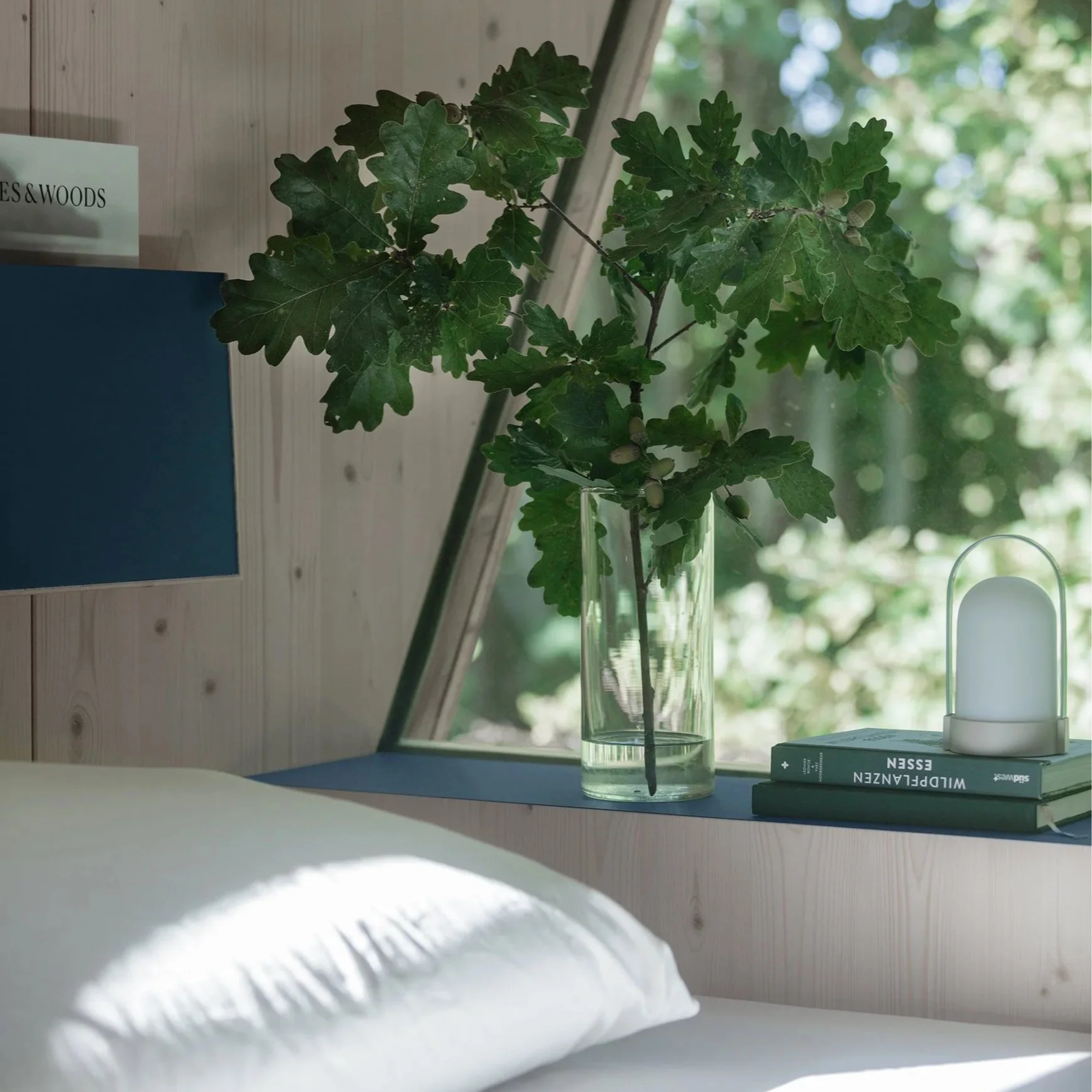 tiny house, art direction for brand, photo concept: showing books and  green leaves beside a bed