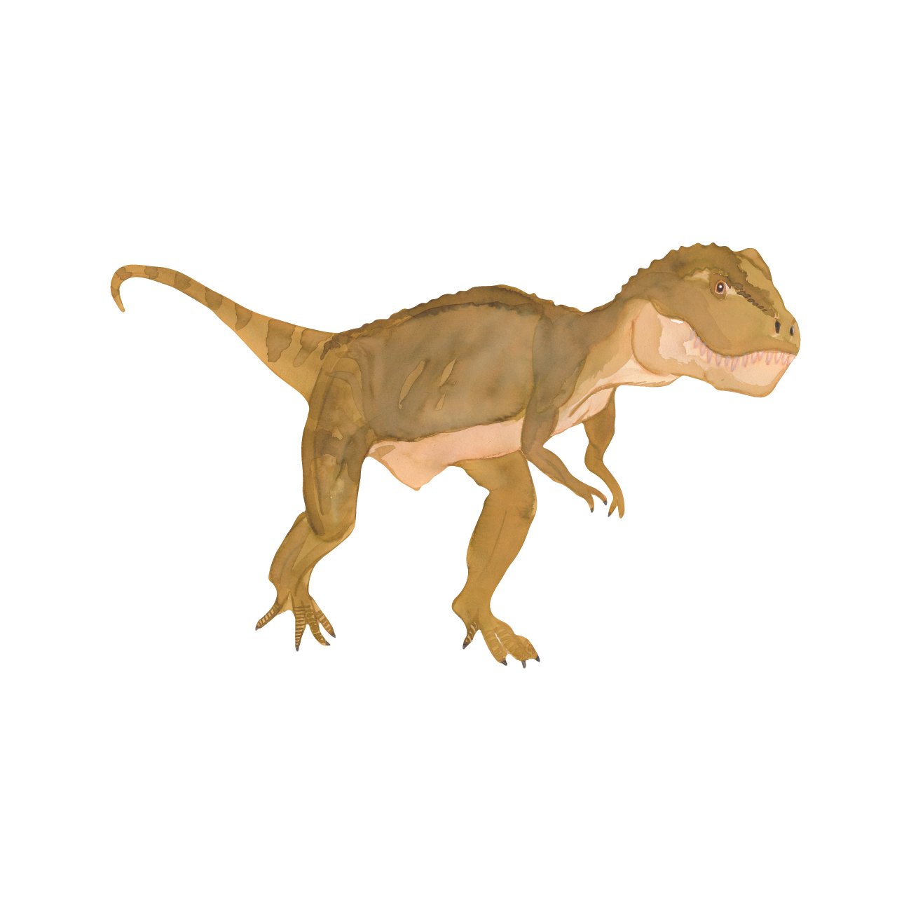 T-rex-watercolour-illustration.jpg