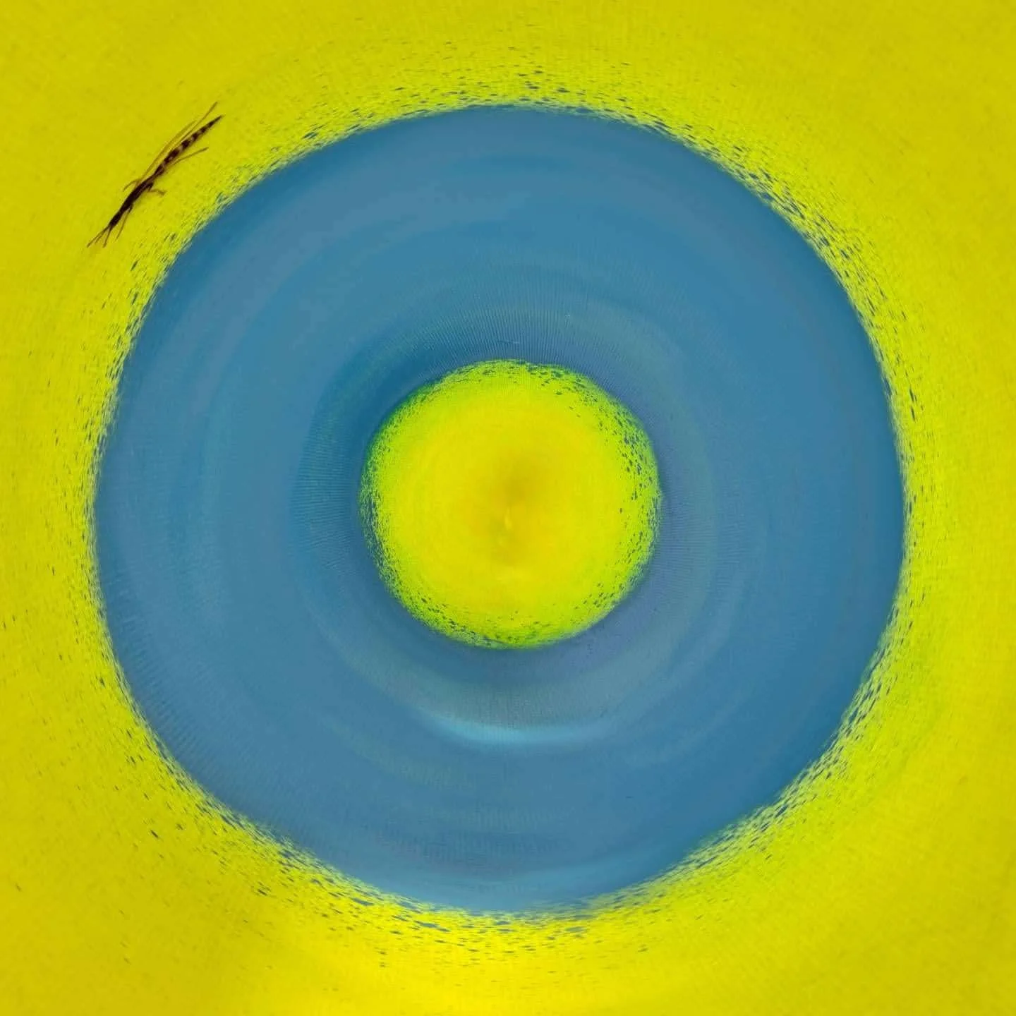 A Story from an Art Therapist