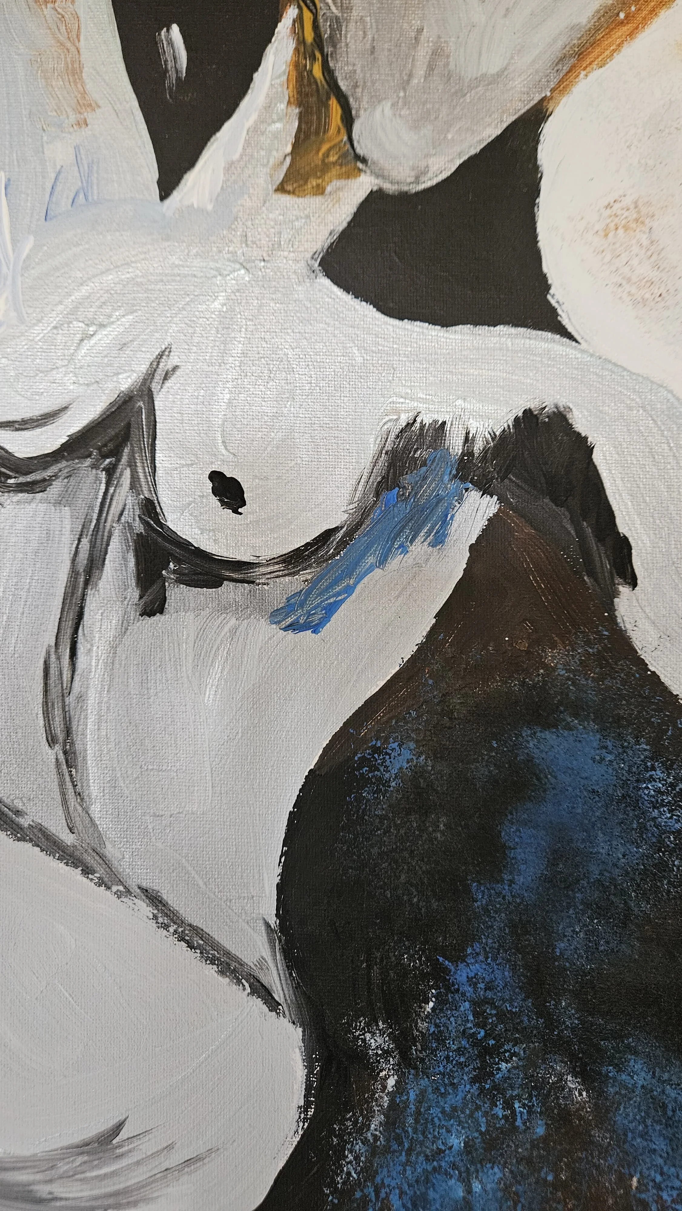 WhatsApp Image 2026-03-12 at 10.12.25 (1).jpeg