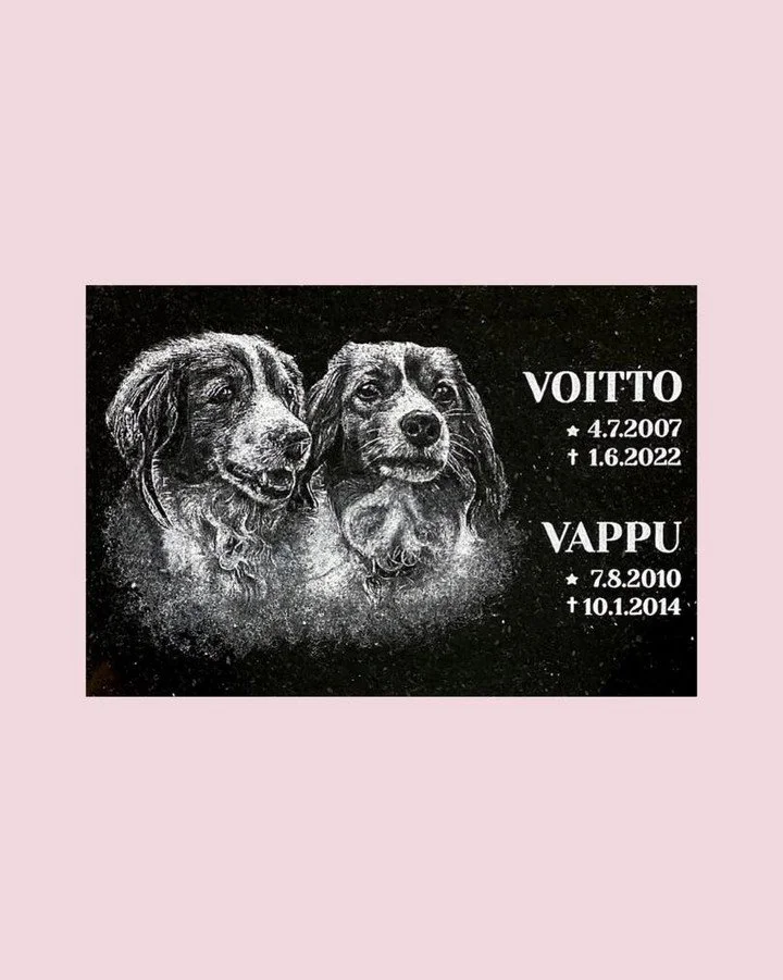 Voitto ja Vappu🥺&hearts;️
Saatiin niin kaunis portreitti✨🐾

T&auml;ss&auml; n&auml;kyy asiakkaan suunniteltu vedos🙌🏼Ja lopputulos, jonka asiakas hyv&auml;ksyy ja me  toteutetaan✨☺️

#rakaslemmikki #yst&auml;v&auml; #rakkaus #koira #kiveenkaiverre