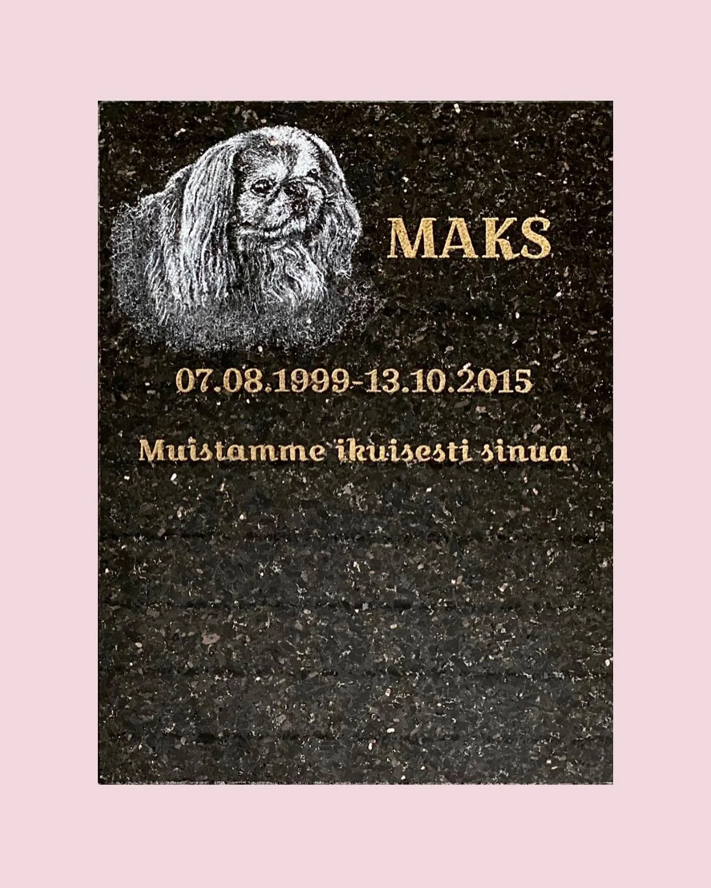 Lep&auml;&auml; rauhassa Maks💗🐾

N&auml;in pienenkin kaiverruksen on mahdollista toteuttaaa✨