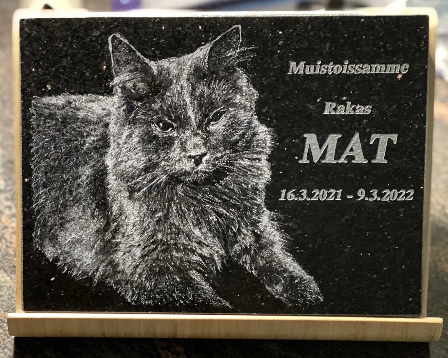 Pieni lemmikin hautakivi Black Galaxy