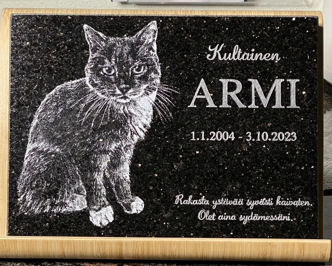 Pieni lemmikin hautakivi Black Galaxy