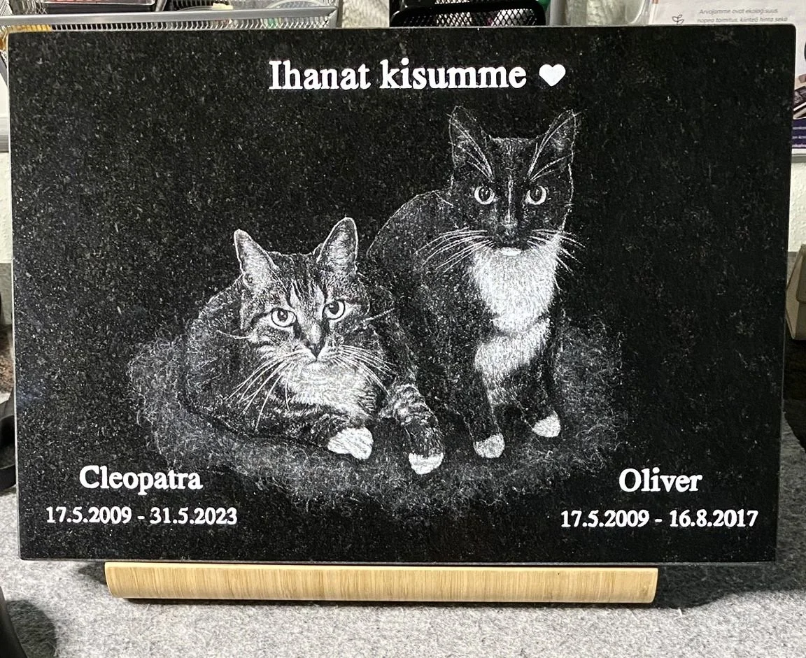 Iso lemmikin hautakivi Musta Kivi