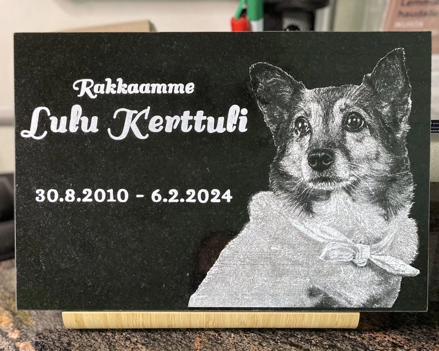 Iso lemmikin hautakivi Musta Kivi