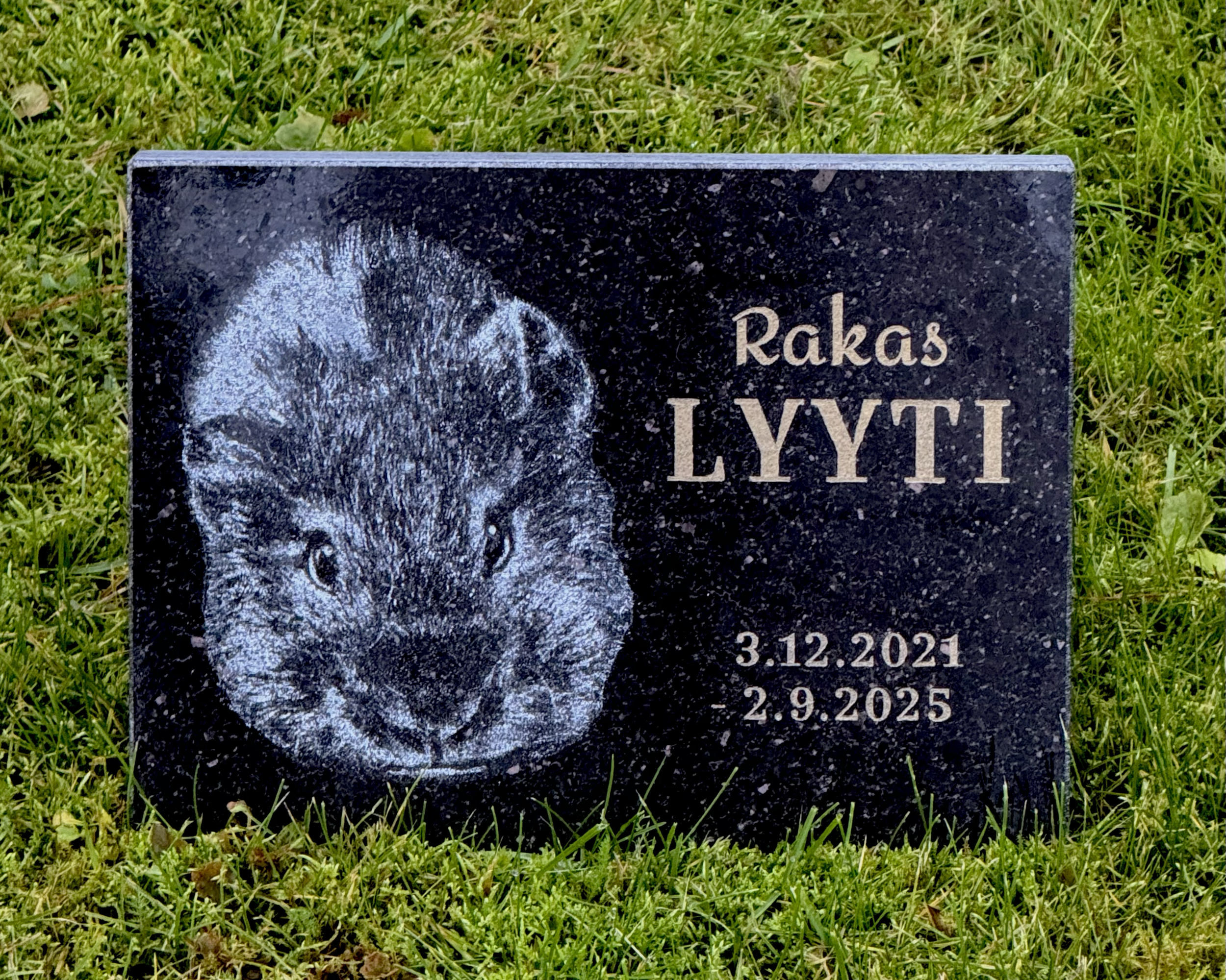 Pieni lemmikin hautakivi Black Galaxy