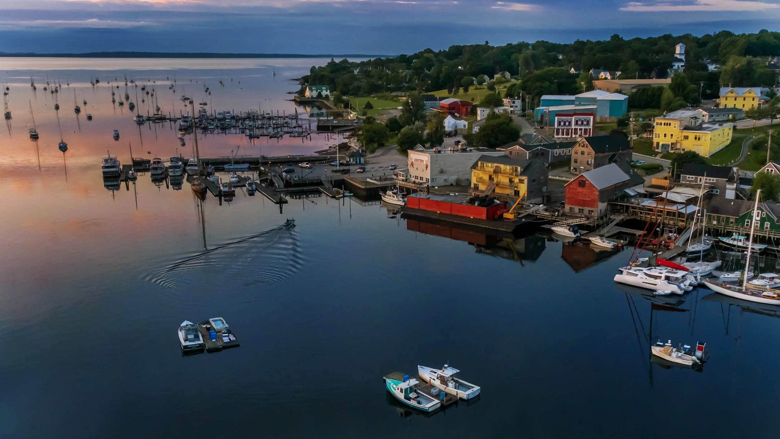 Bay Bash