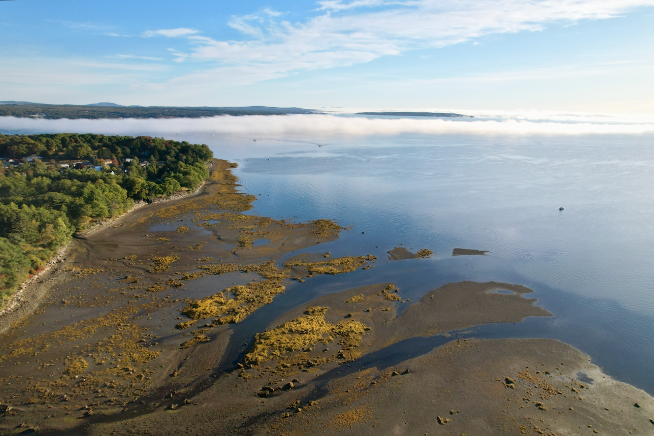 DJI_0825.png