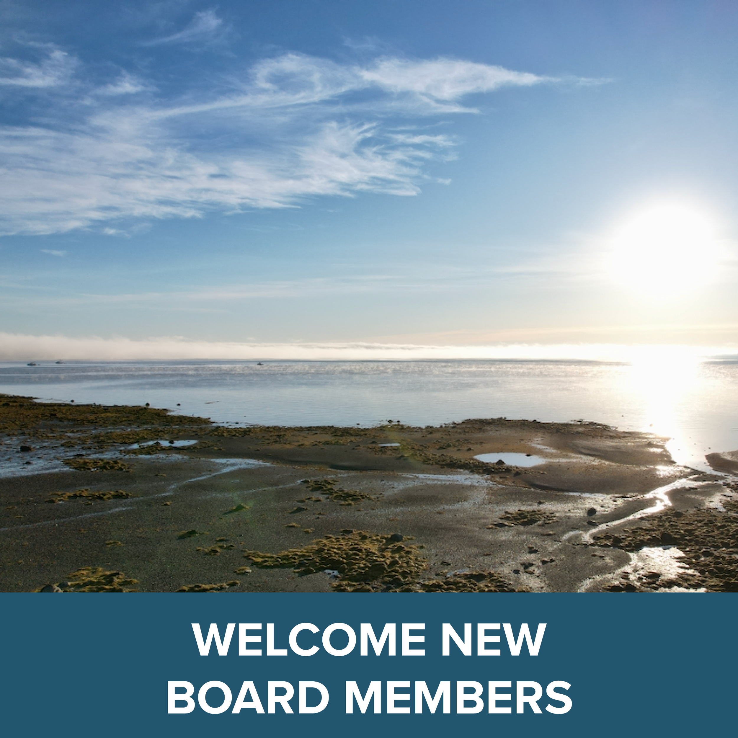 Penobscot Bay Waterkeeper Adds Four New Governing Board Members