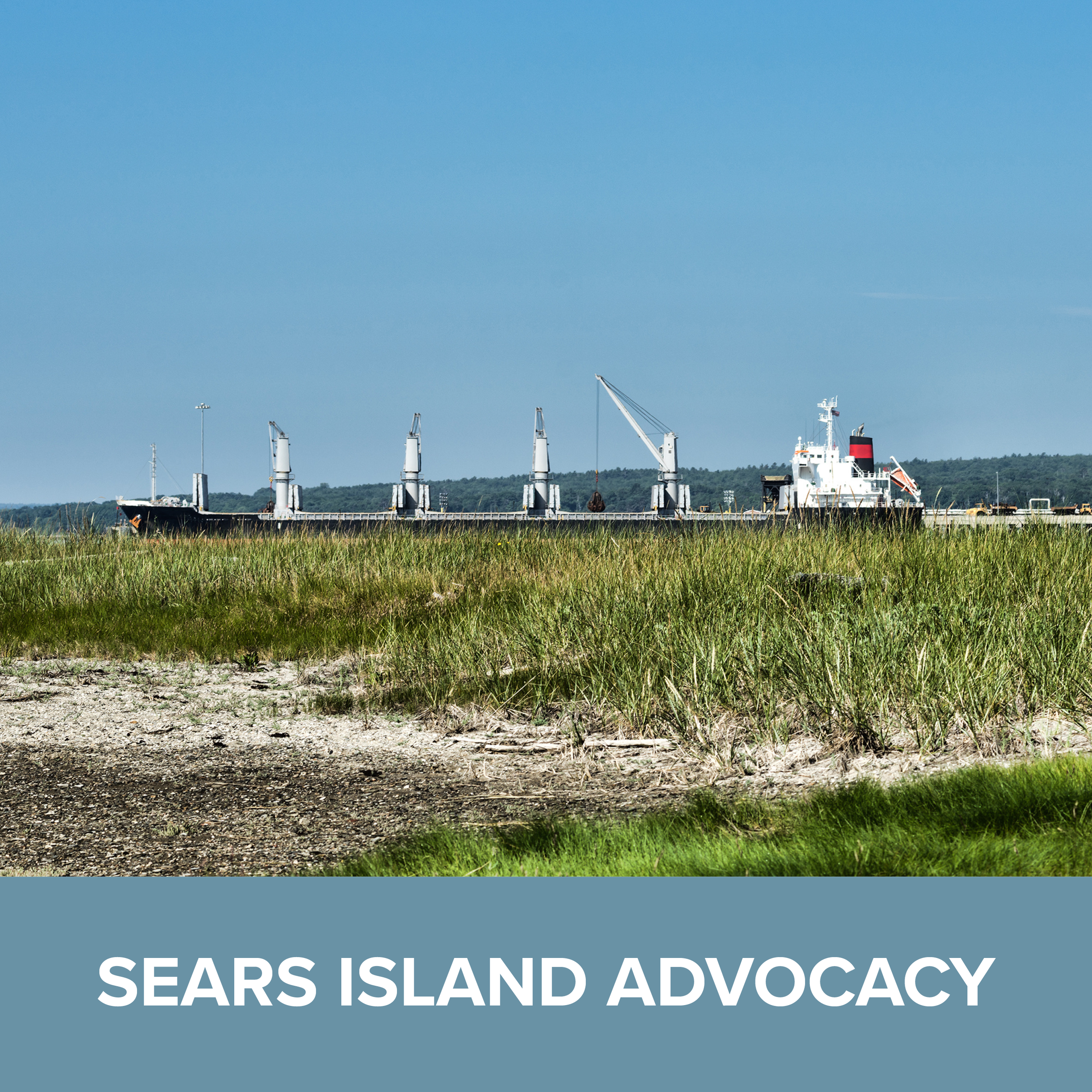 Sears Island Advocacy at 40. Lessons from the Past, Challenges for the Future