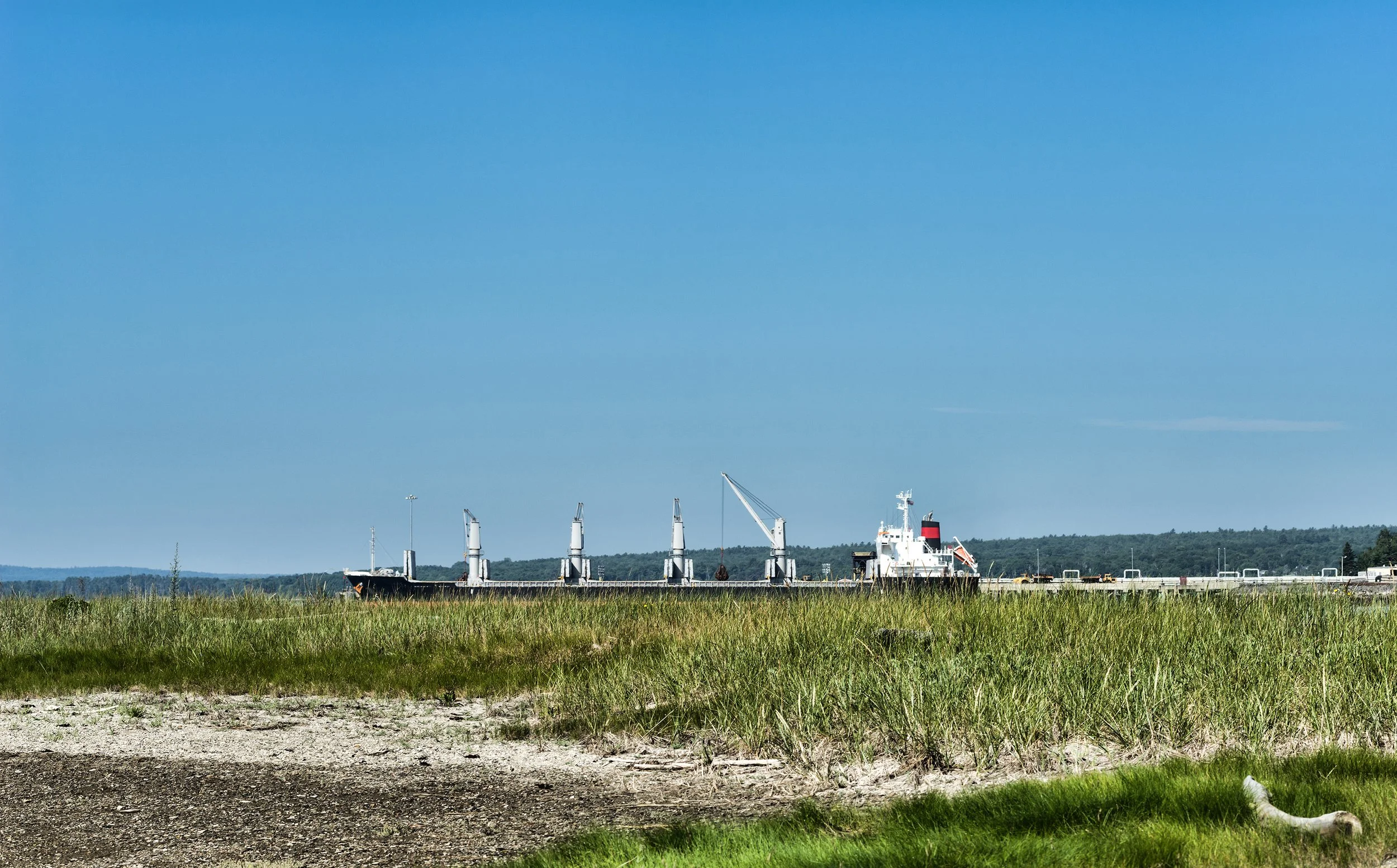 The Absurdity of Sears Island Industrialization