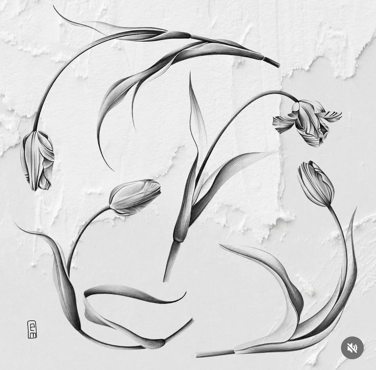 🌷 🟦🟦

#tattoo #tattoos #tattooartist #flowertattoo #linework #finelinetattoos #lineworktattoo  #sydneytattoo #sydneytattooartist #flowertattoodesigns #tulip #tuliptattoo