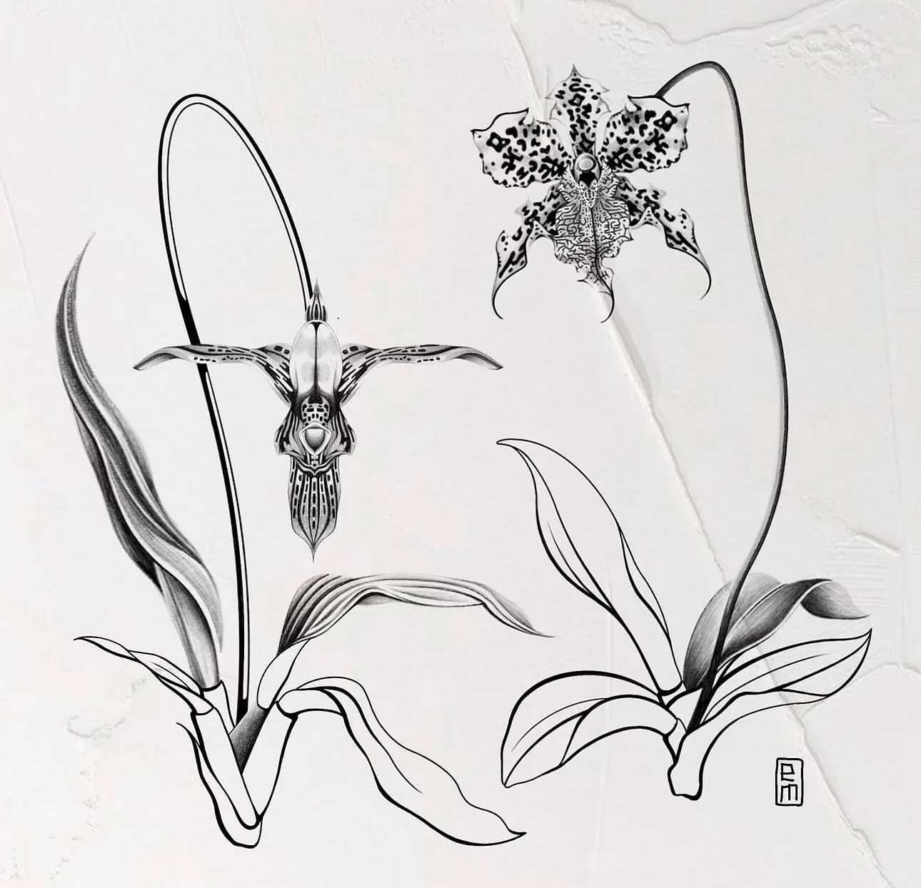 🔹🔸 New Flash

#tattoo #tattoos #tattooartist #flowertattoo #linework #finelinetattoos #lineworktattoo #lovelife #flowertattoodesigns #orchid #orchidtattoo