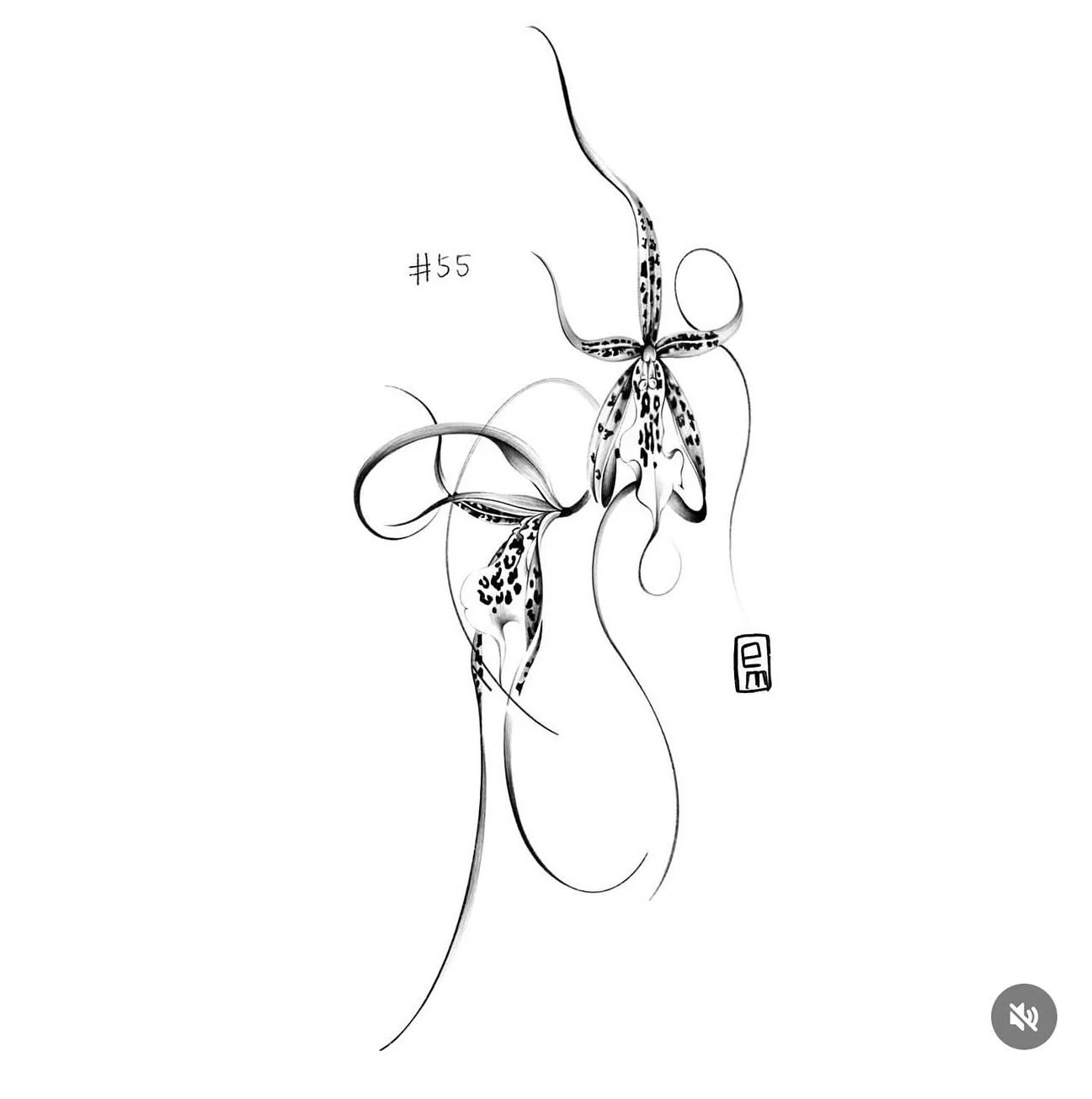 🔷🔶 New flash

#tattoo #tattoos #tattooartist #flowertattoo #linework #finelinetattoos #lineworktattoo  #sydneytattoo #sydneytattooartist #flowertattoodesigns #orchid #orchidtattoo