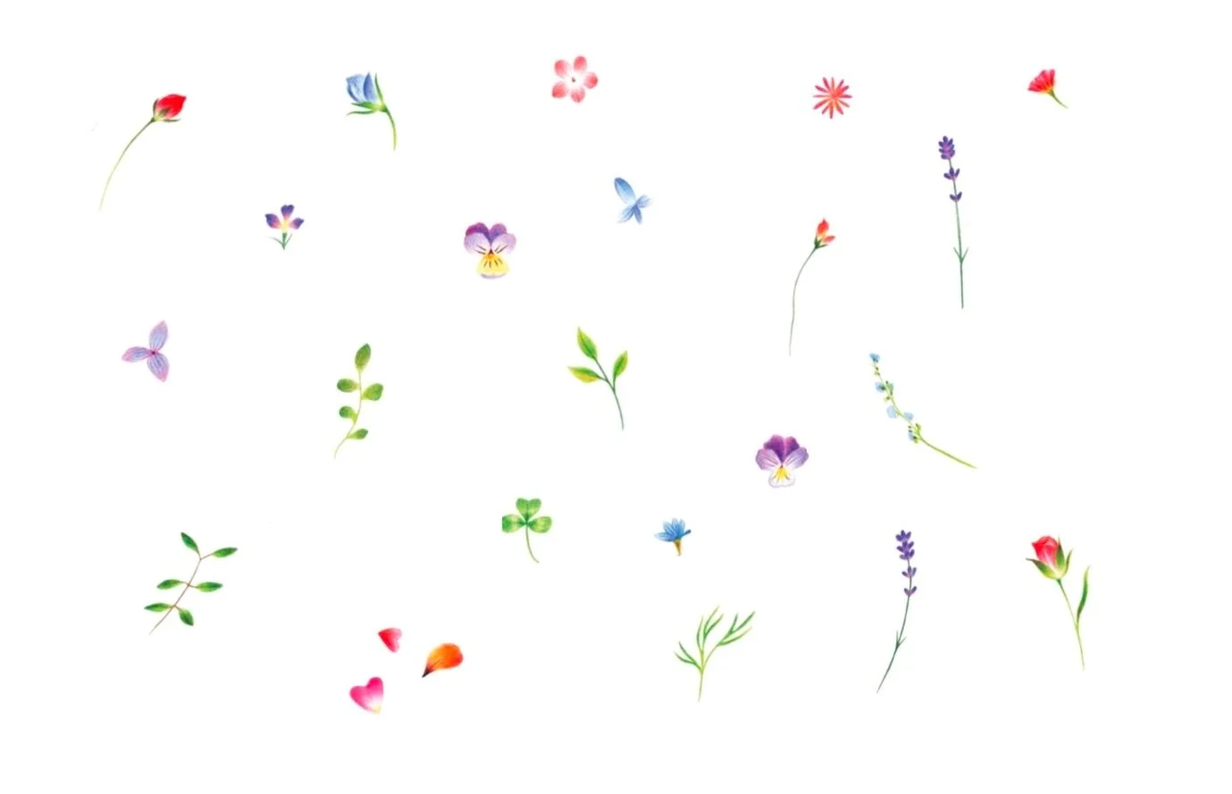 Tiny colorful botanicals to brighten your everyday 🌿✨

#sydneytattoo #flowertattoos  #lineworktattoo
#colortattoo #cutetattoo