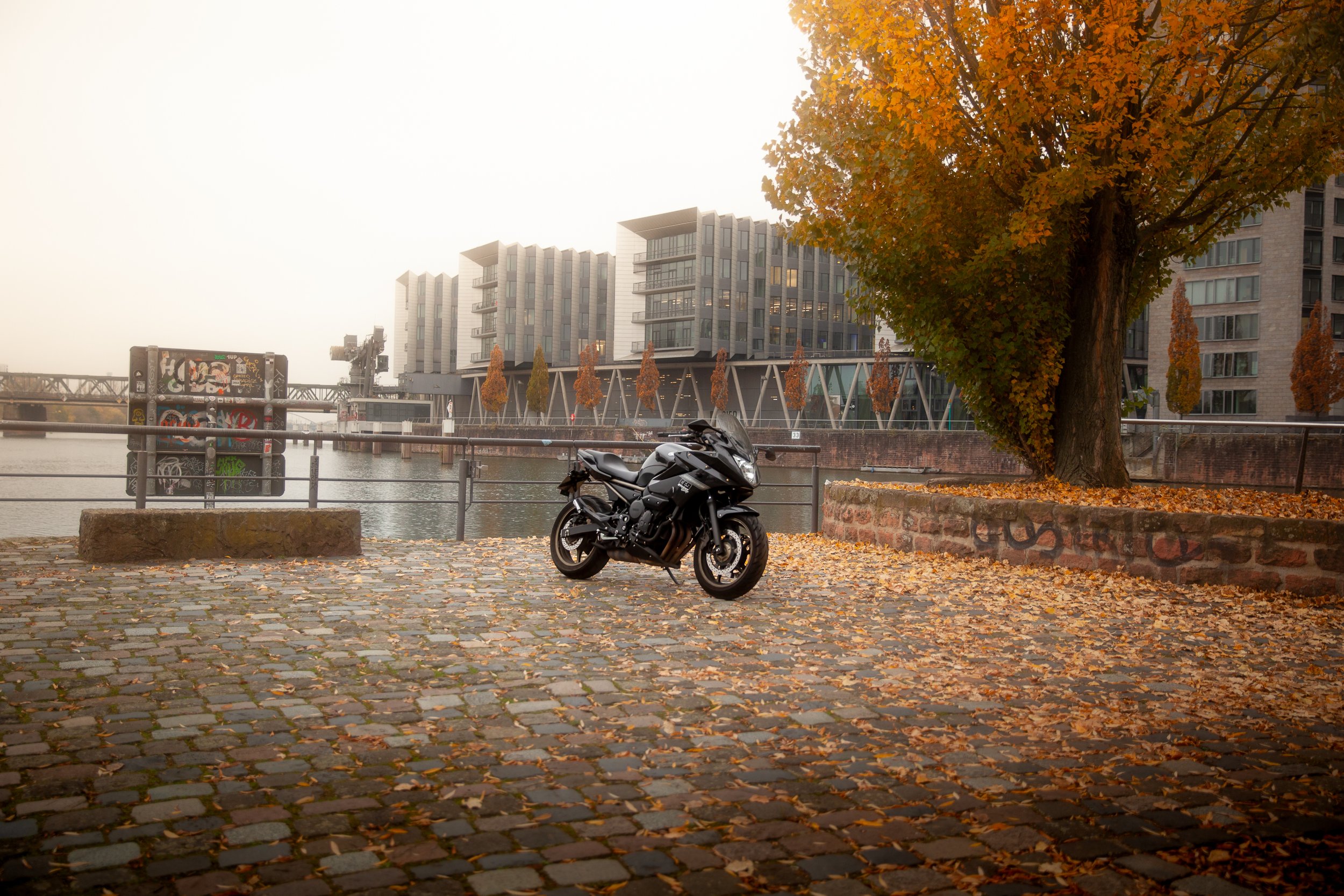 Ein schwarzes Motorrad steht auf einer gepflasterten Fläche mit Herbstlaub, neben einem Baum, im Hintergrund ein Fluss und moderne Gebäude.