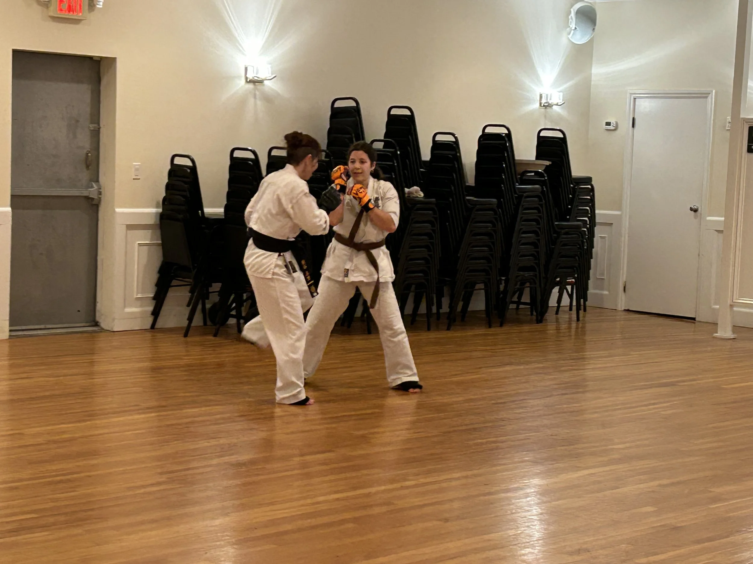 Photo Nov 17 2024, 10 08 54 AM.jpg