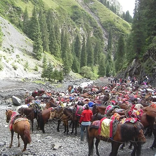 My Korean American Story: Riding Horses in China