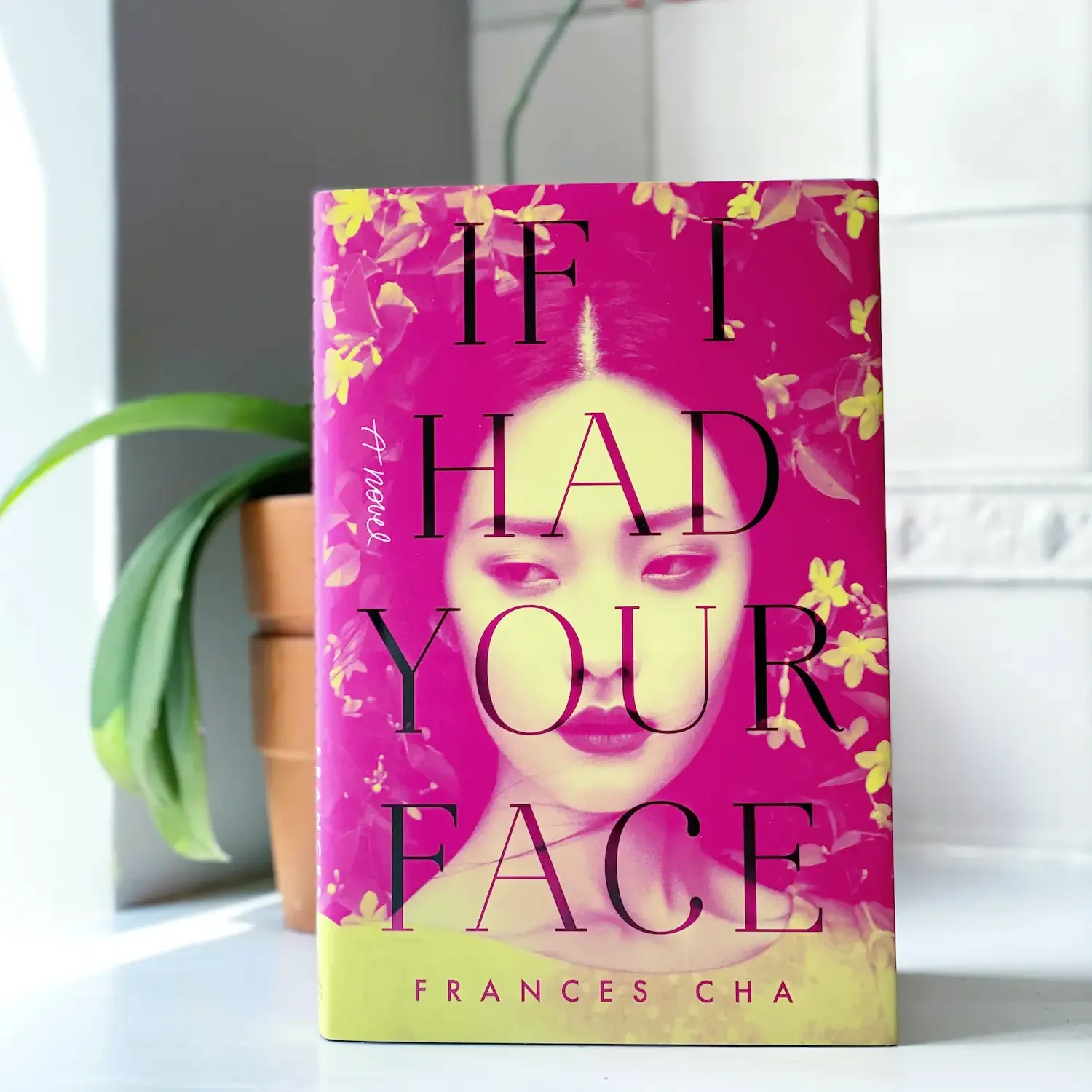 If I Had Your Face by Frances Cha