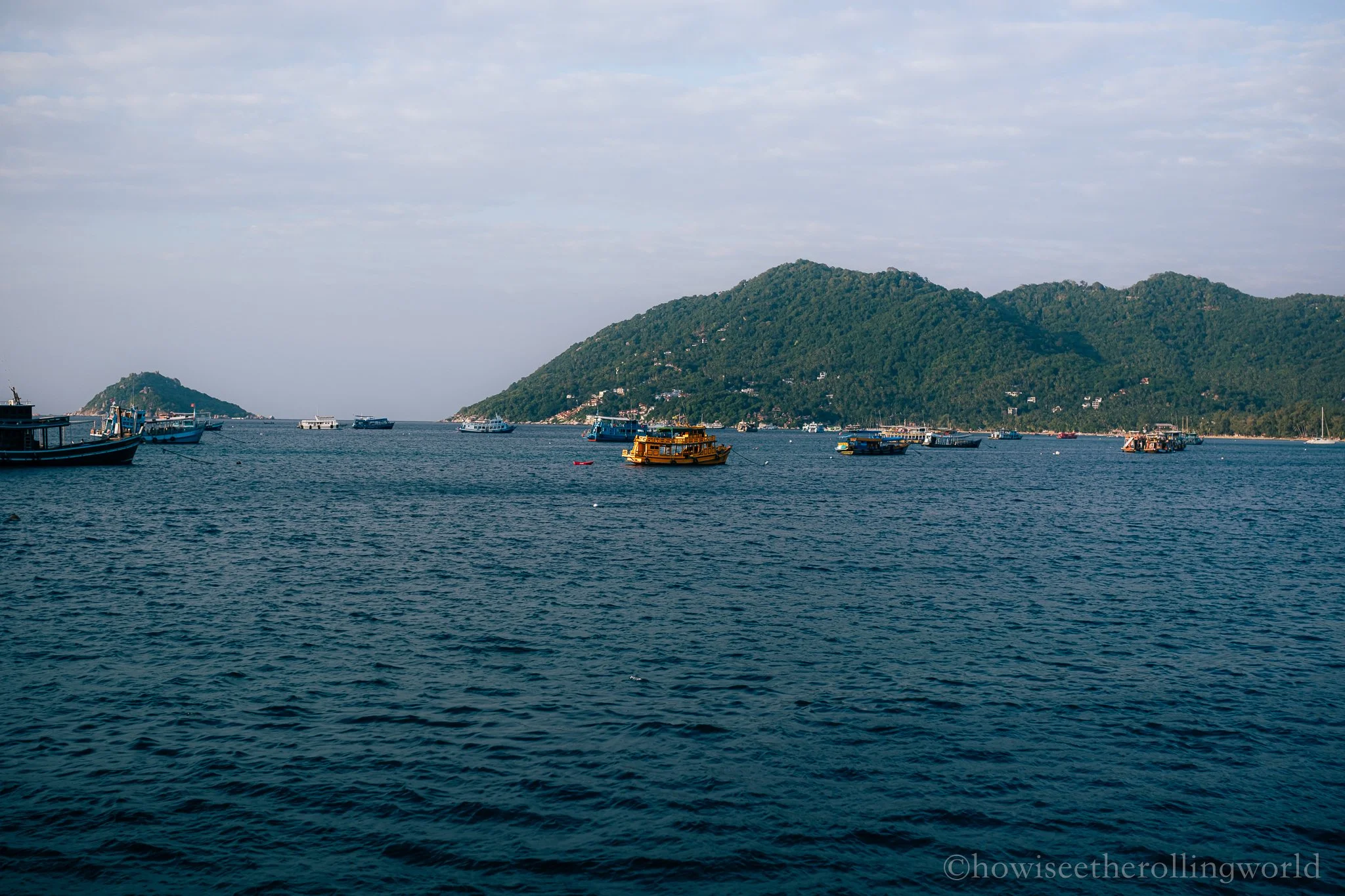 DSCF5845.jpg