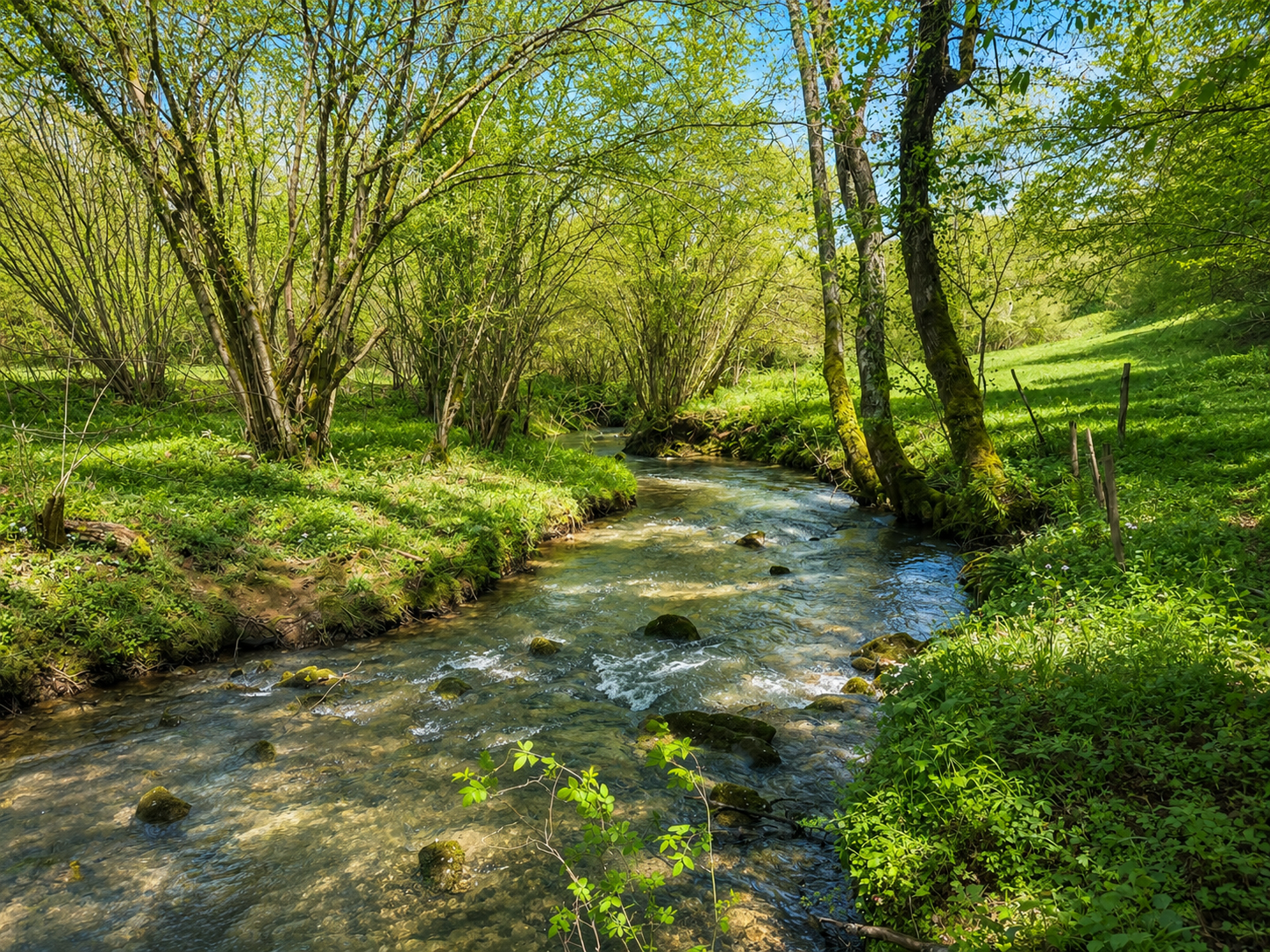 River running along the property 1.png