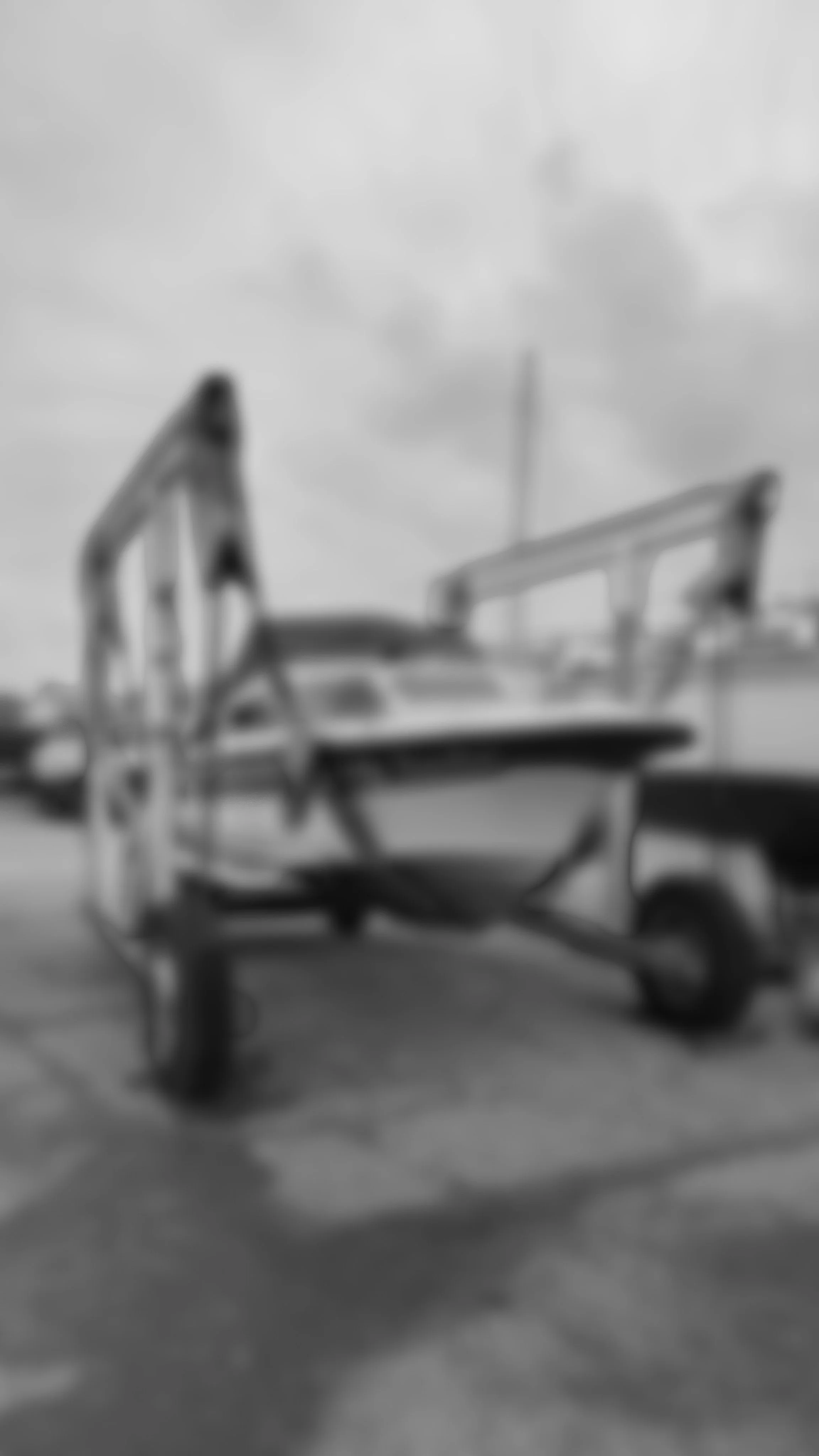 Coming Soon: Shetland Kestrel