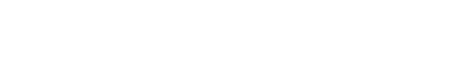 LeadWise
