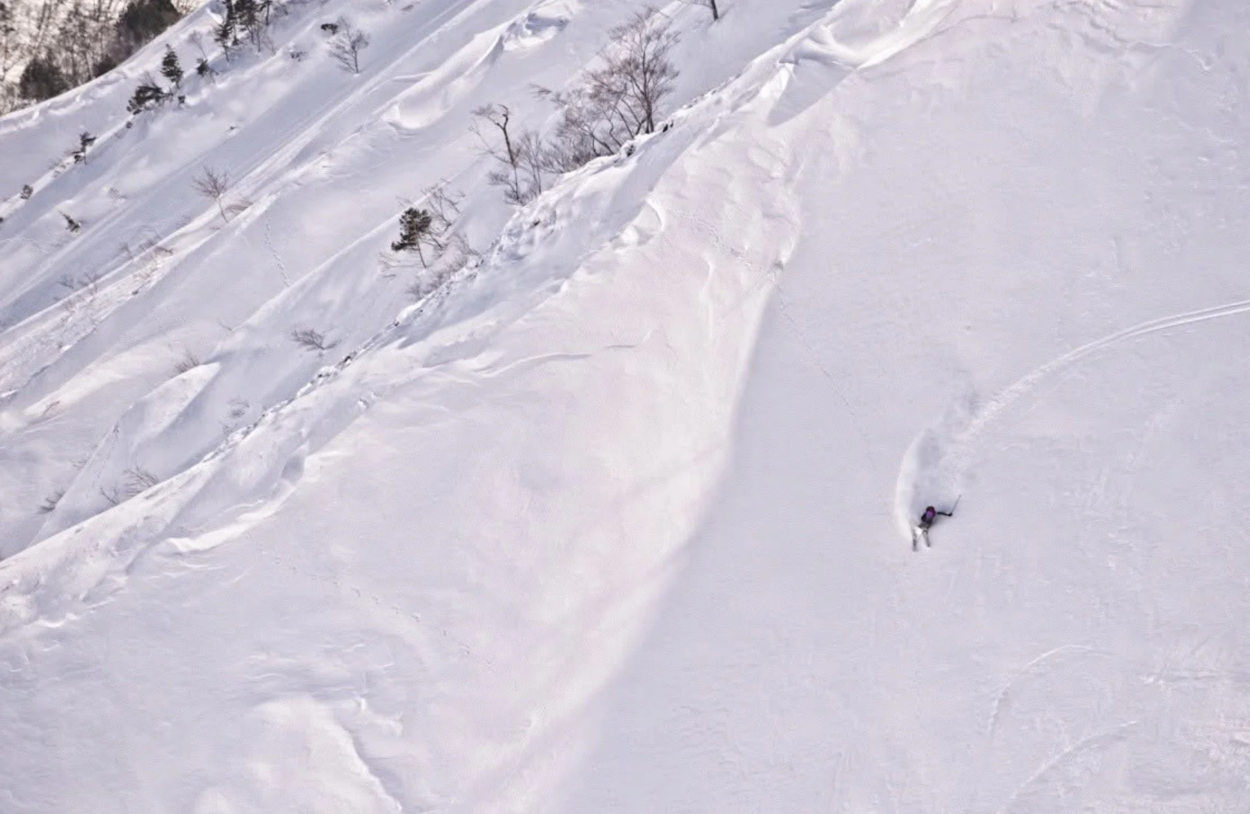 Skier descending deep powder in Japan