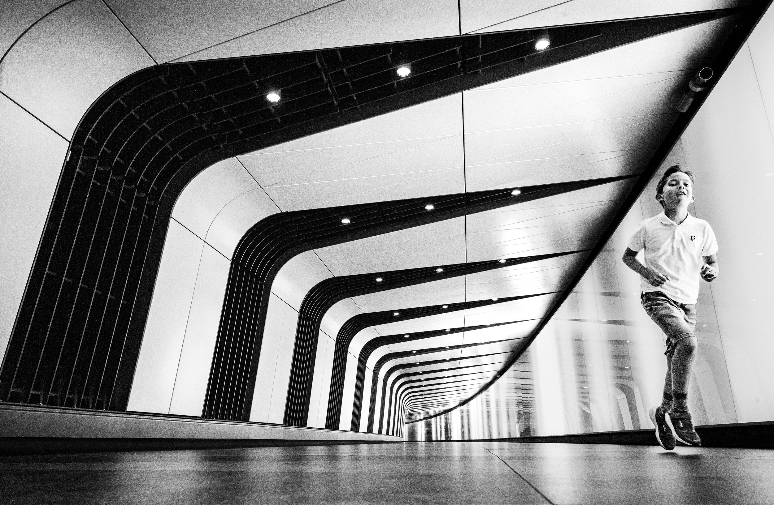 Wonder in Motion.jpg