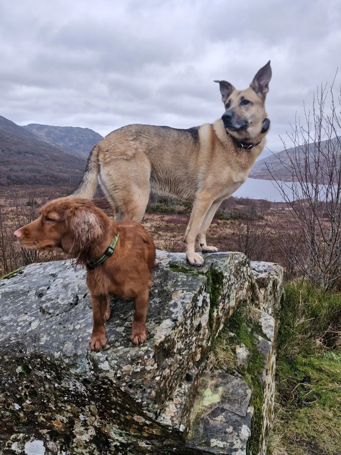DaisyTilly_1.jpg