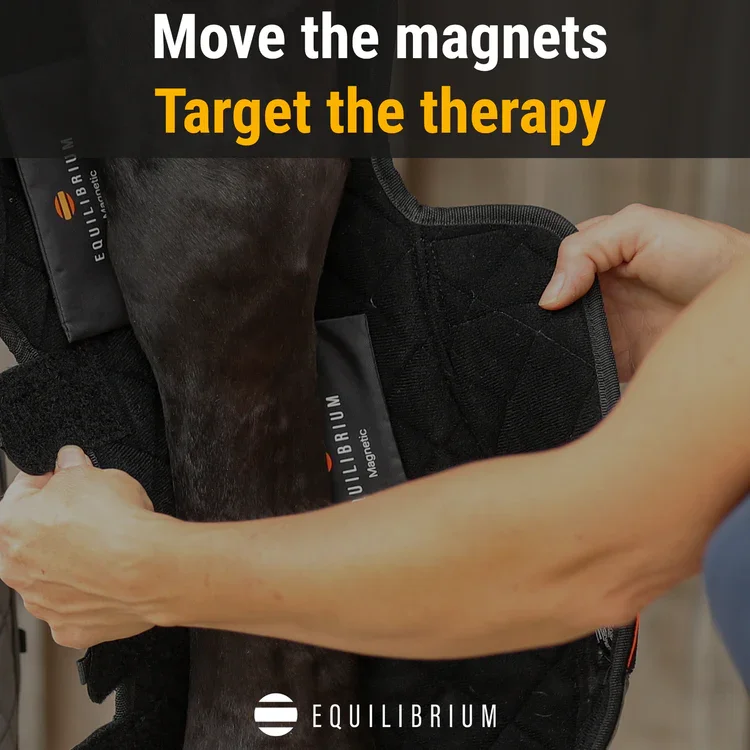 MagneticChaps3.webp
