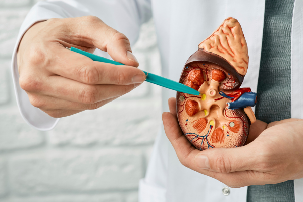 Kidney Beam now clinically proven to improve health related quality of life of kidney disease patients through ground-breaking research trial
