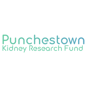 Punchestown Kidney Research Fund Logo