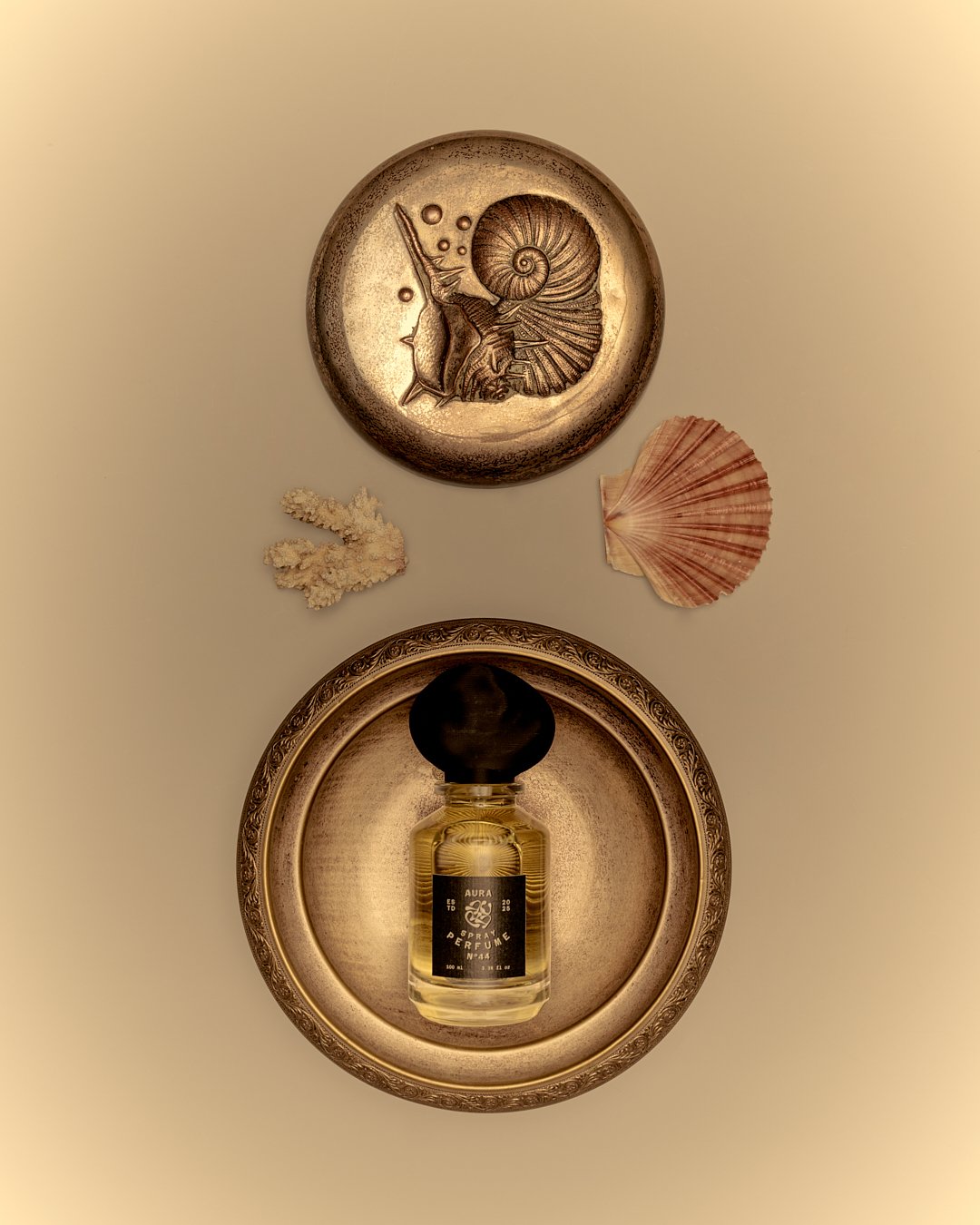 DAY 22792.jpg