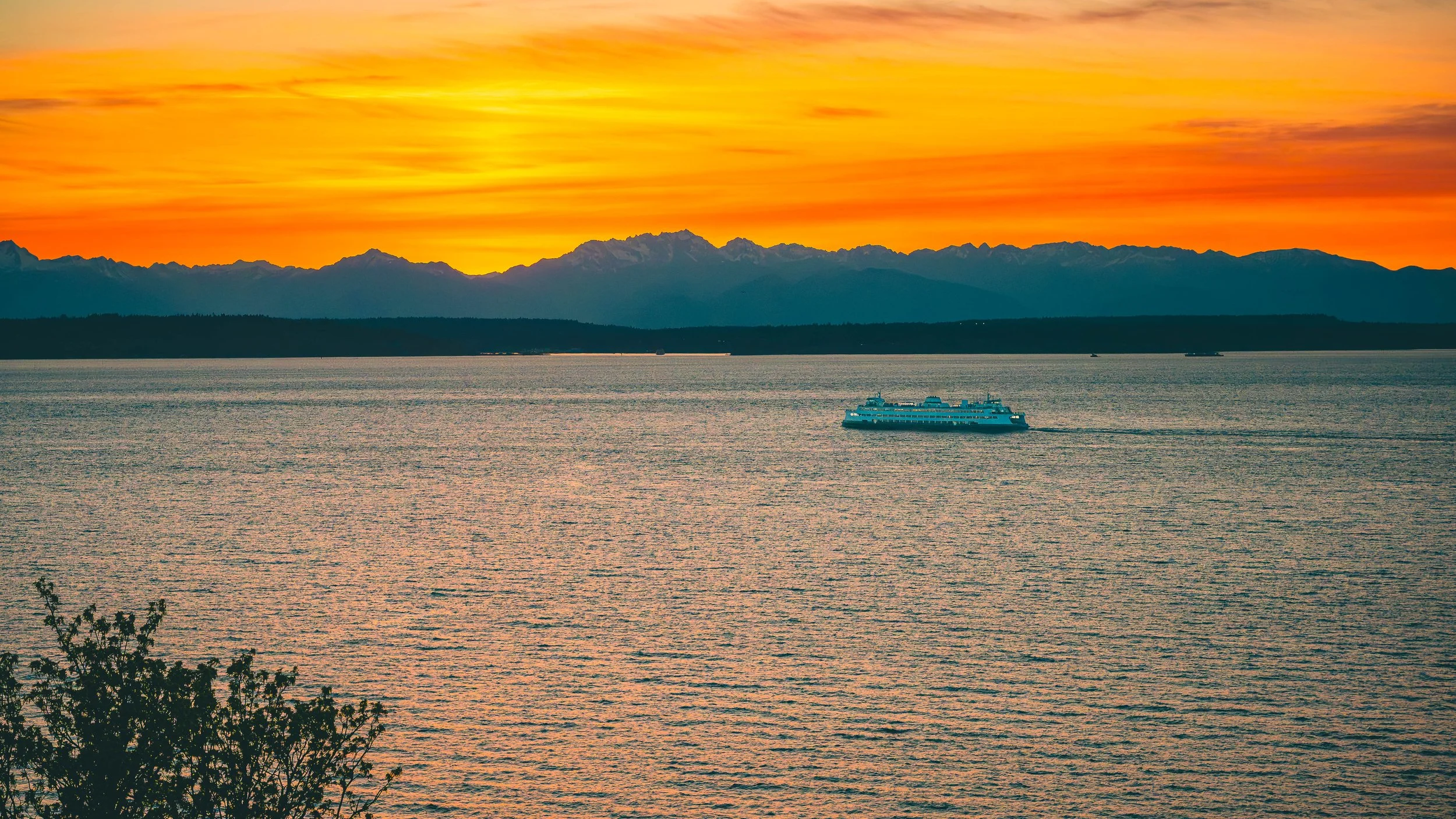 A sunset over a body of water with mountains in the background. A ferry or large boat is sailing across the water, and there is a silhouette of a tree in the lower left corner.