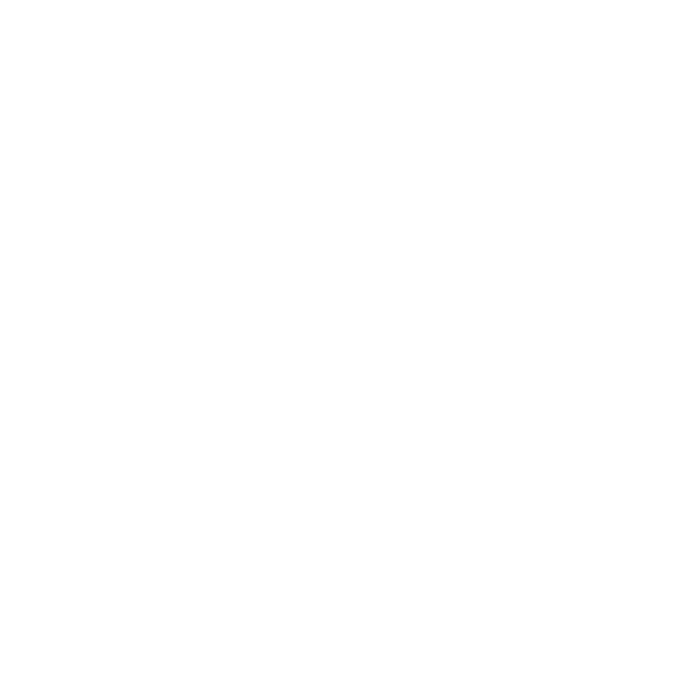 Consultancy & System Advice