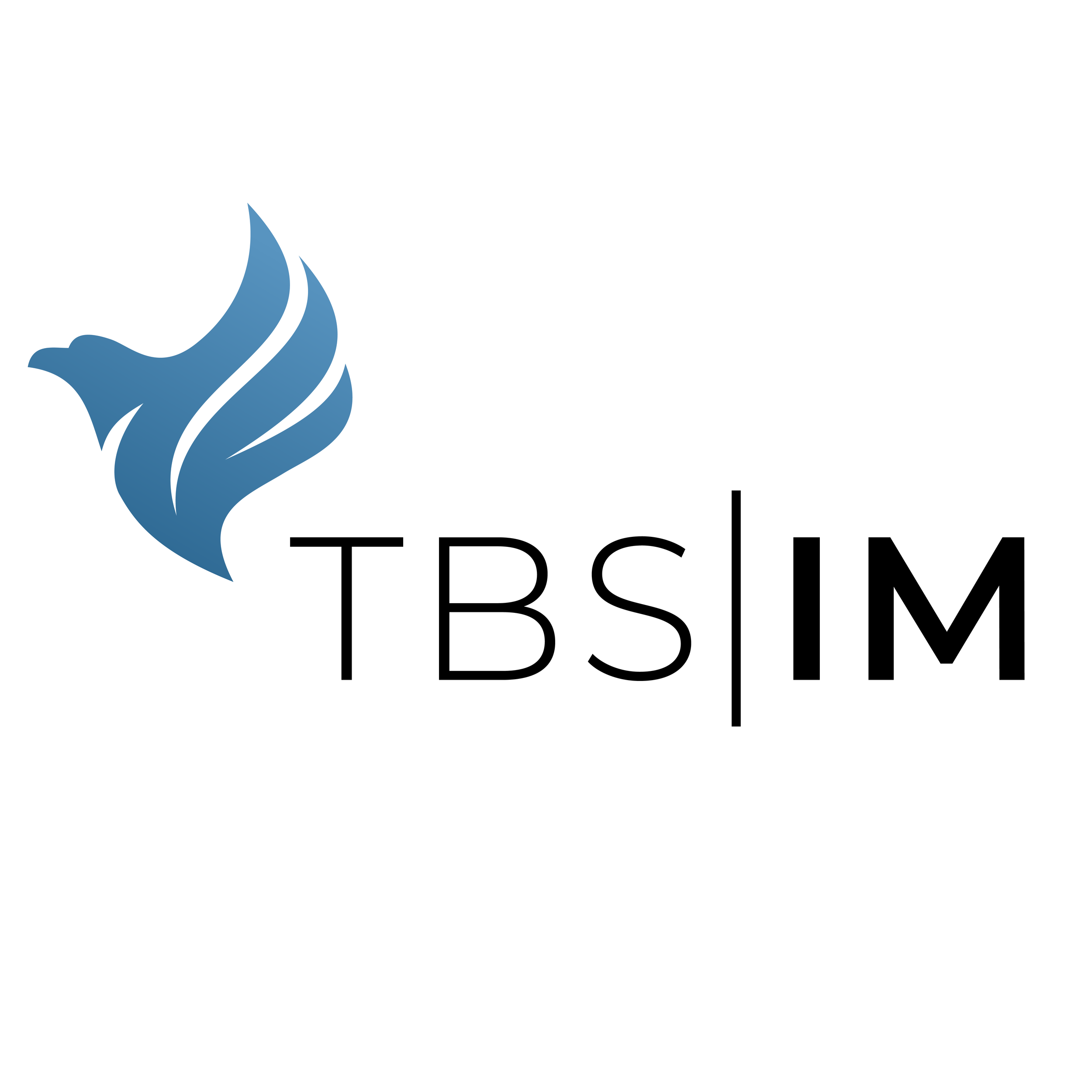 Logo featuring a blue stylized dove head and the text "TBS|M" in black.