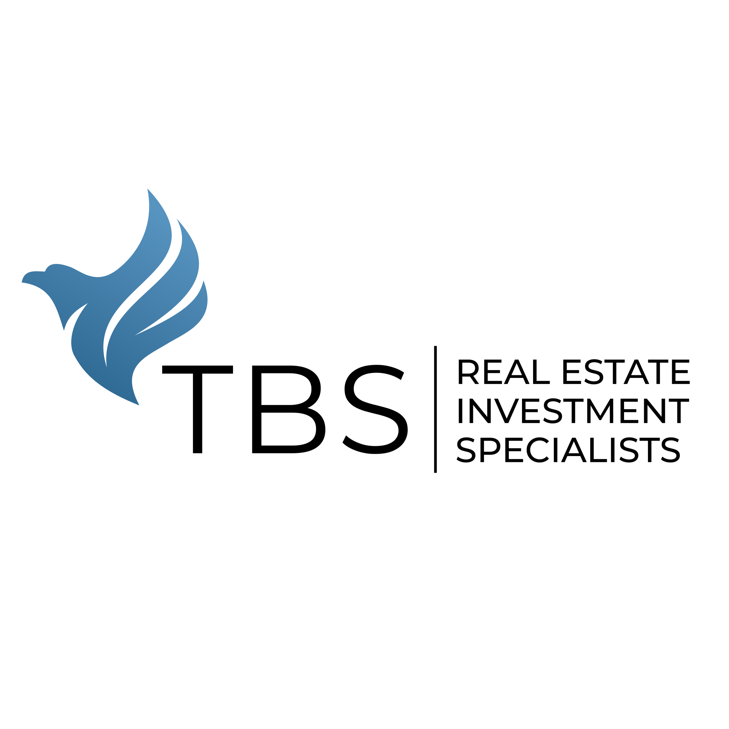 Logo for TBS Real Estate Investment Specialists featuring a stylized blue bird and text.