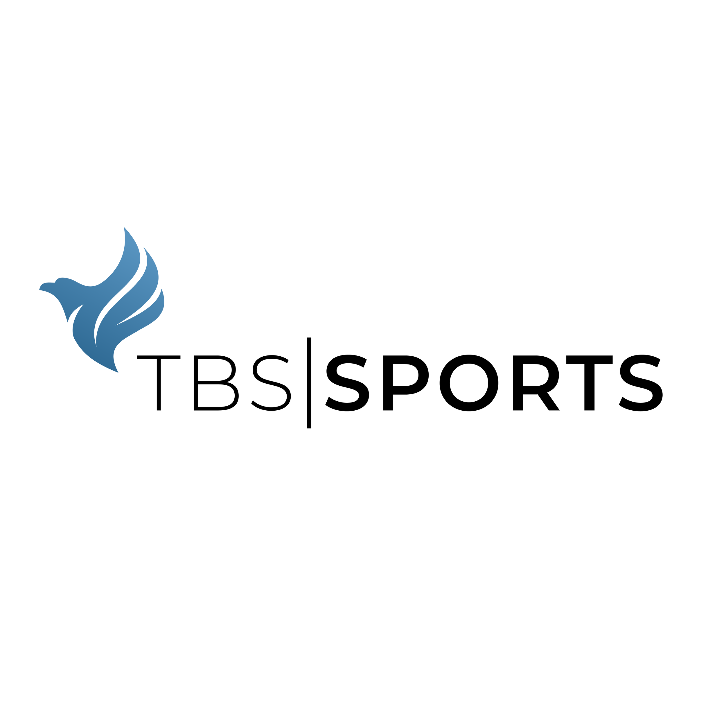 Logo for TBS Sports featuring a stylized blue bird and the text 'TBS Sports' with 'TBS' in thin black letters and 'Sports' in bold black letters.