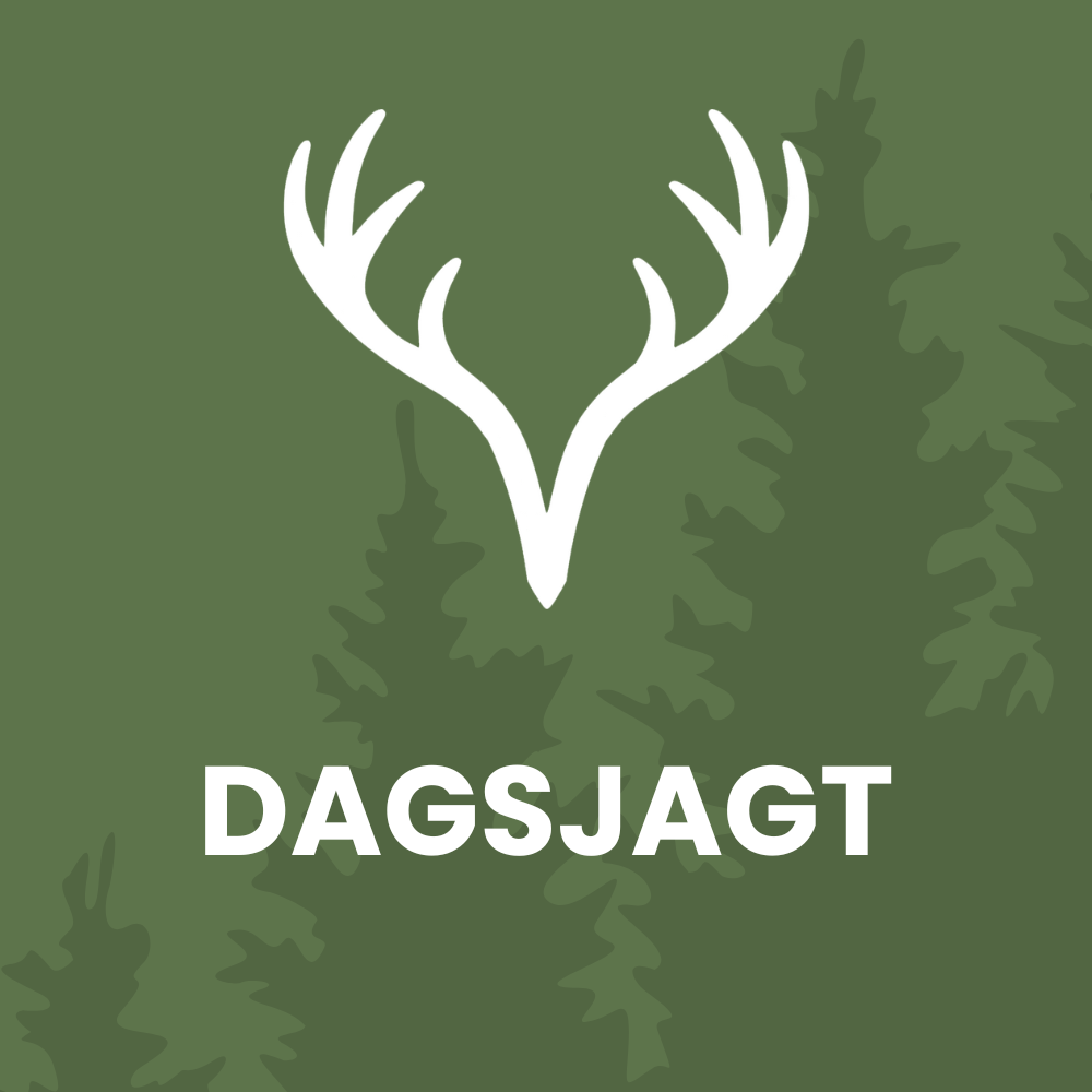 Dagsjagt: 11. januar 2025